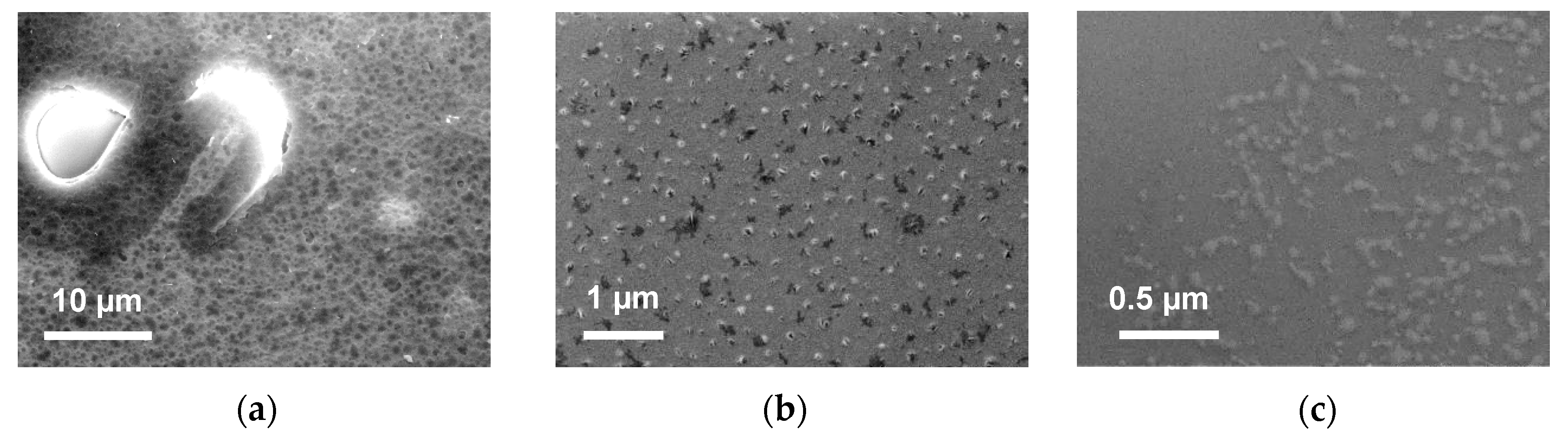 Coatings 10 00149 g010
