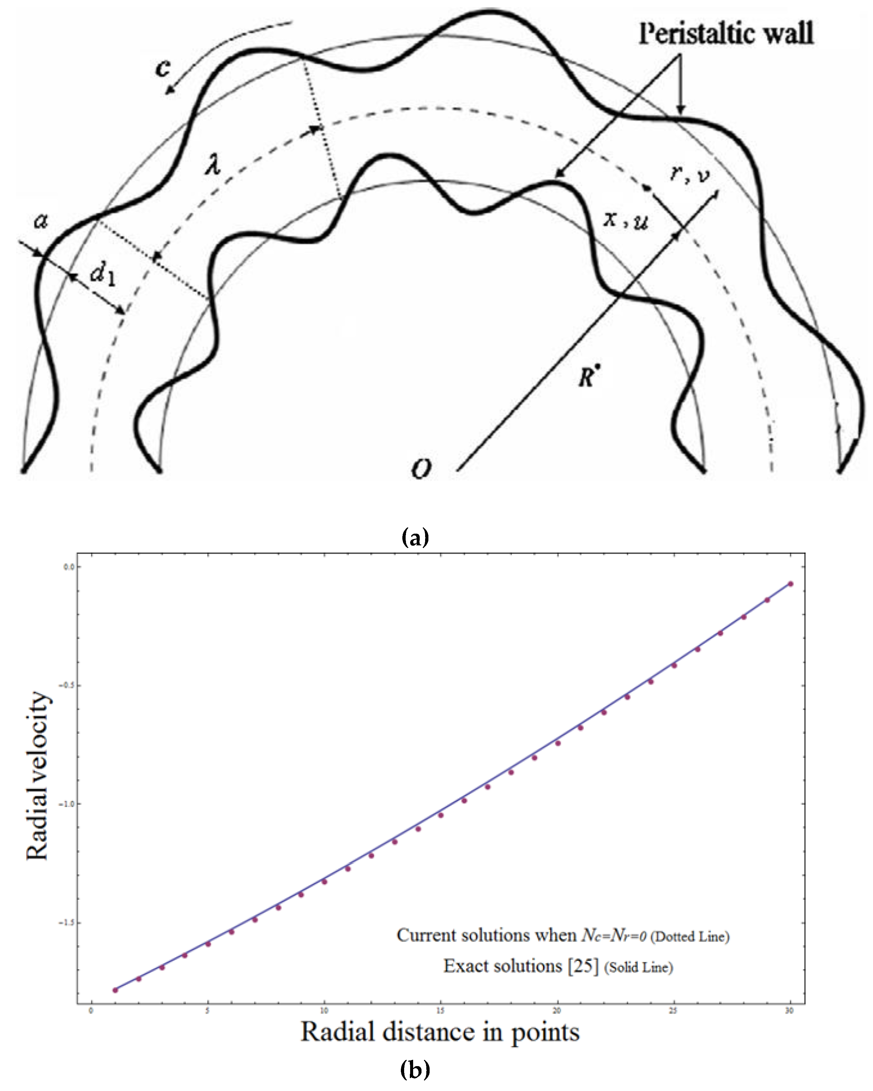 Coatings 10 00154 g001