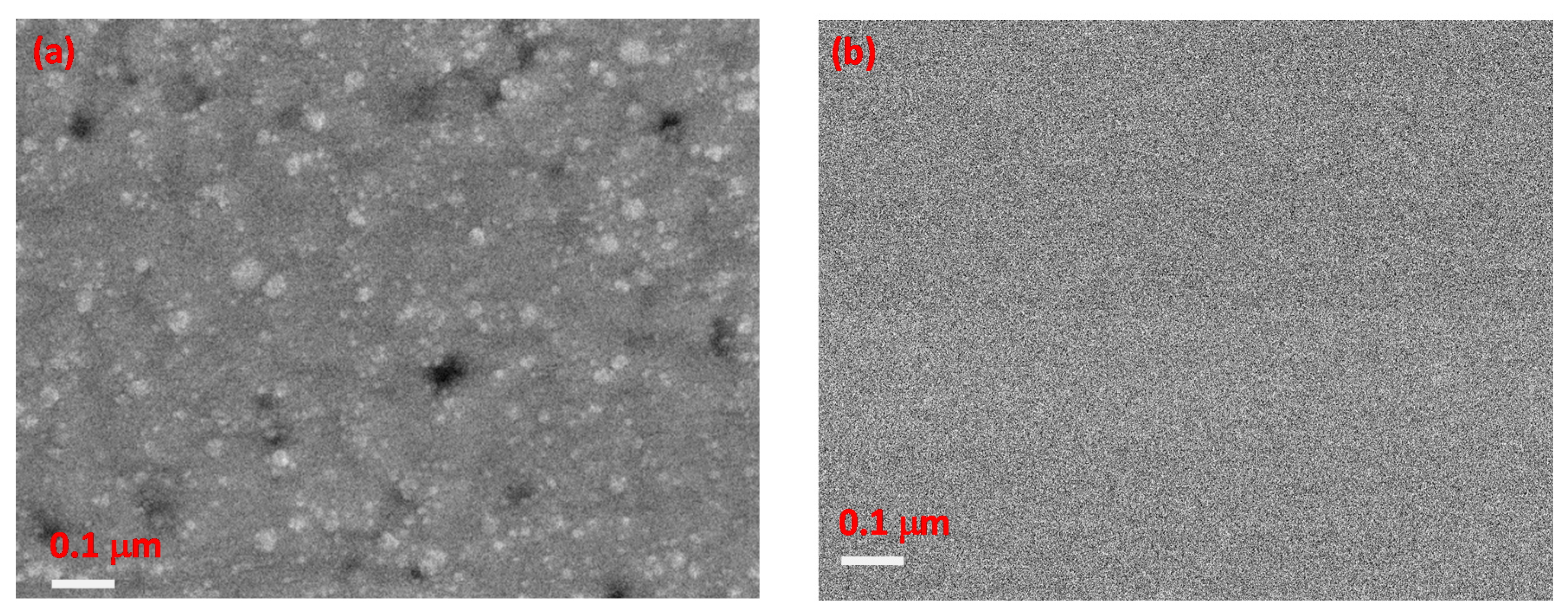 Coatings 10 00155 g002