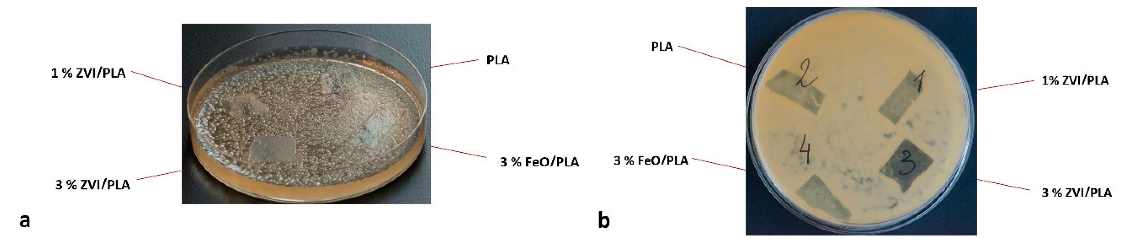 Coatings 10 00156 g004 Coatings 10 00156 g004
