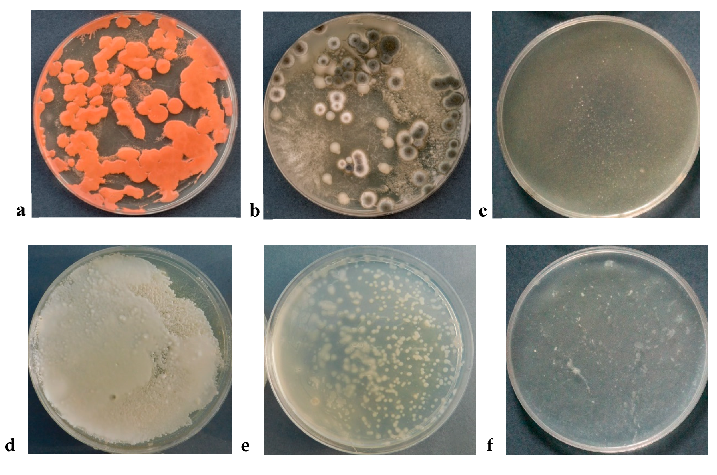 Coatings 10 00156 g005 Coatings 10 00156 g005