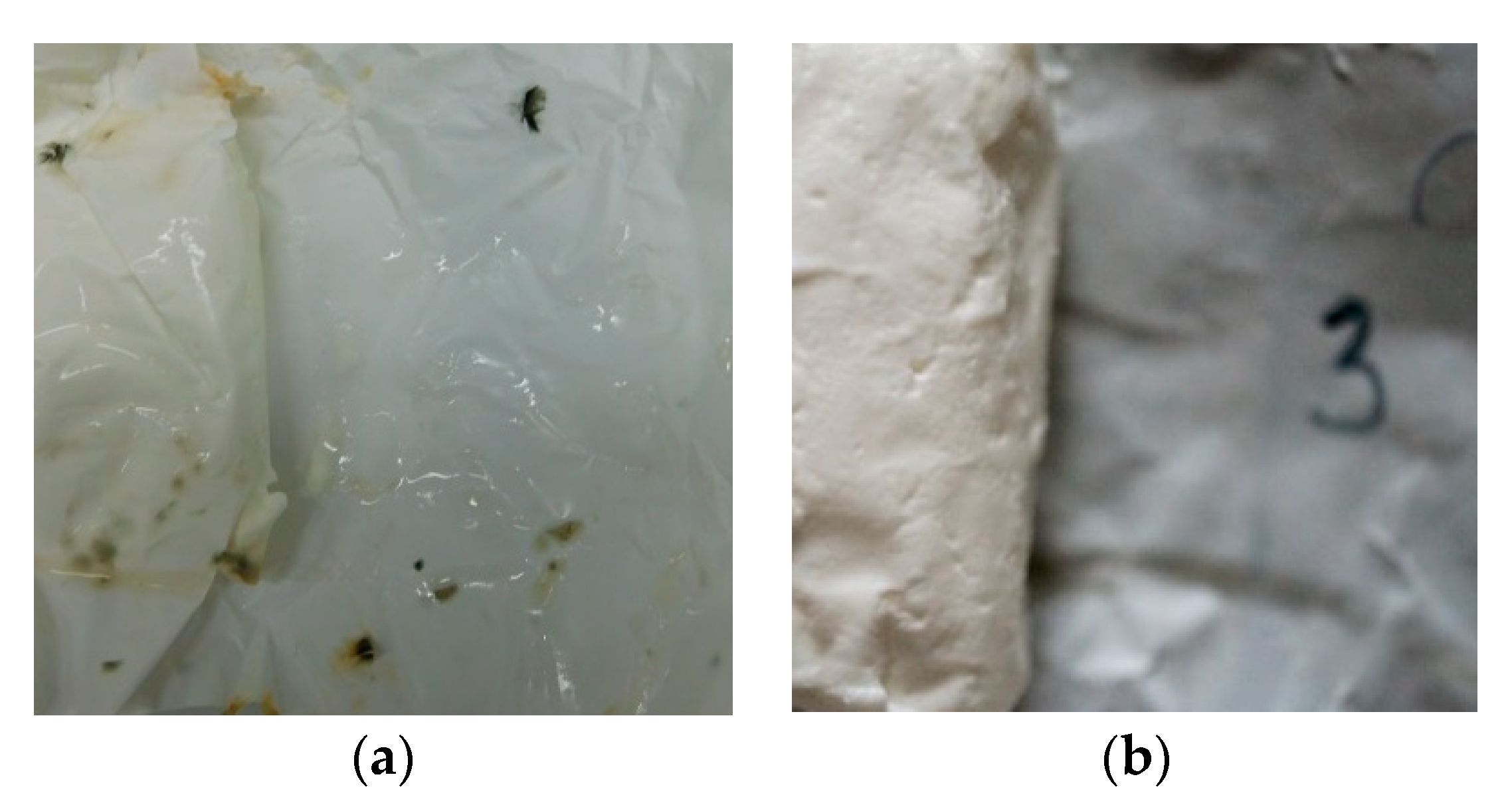Coatings 10 00156 g006 Coatings 10 00156 g006