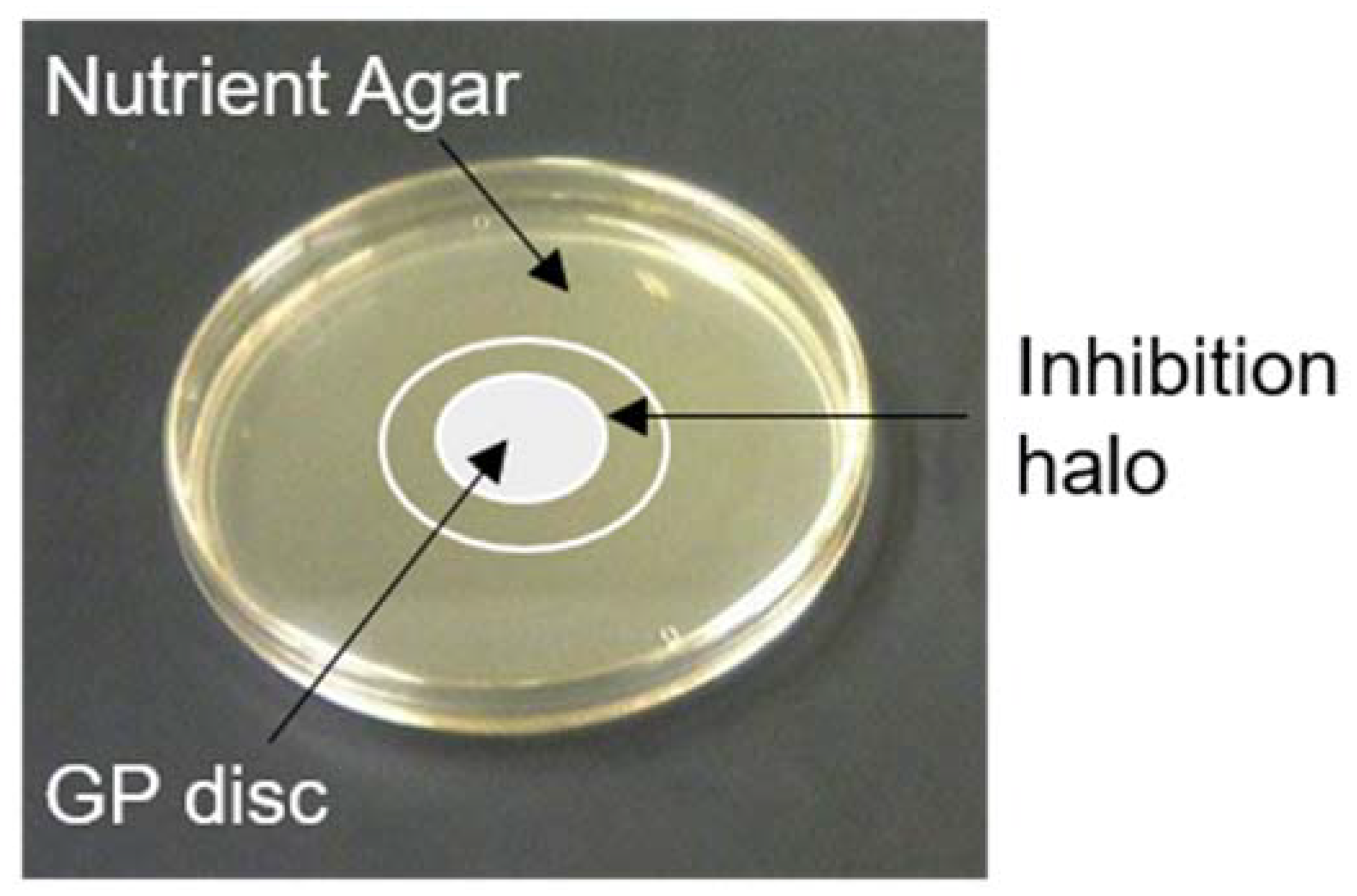 Coatings 10 00157 g003