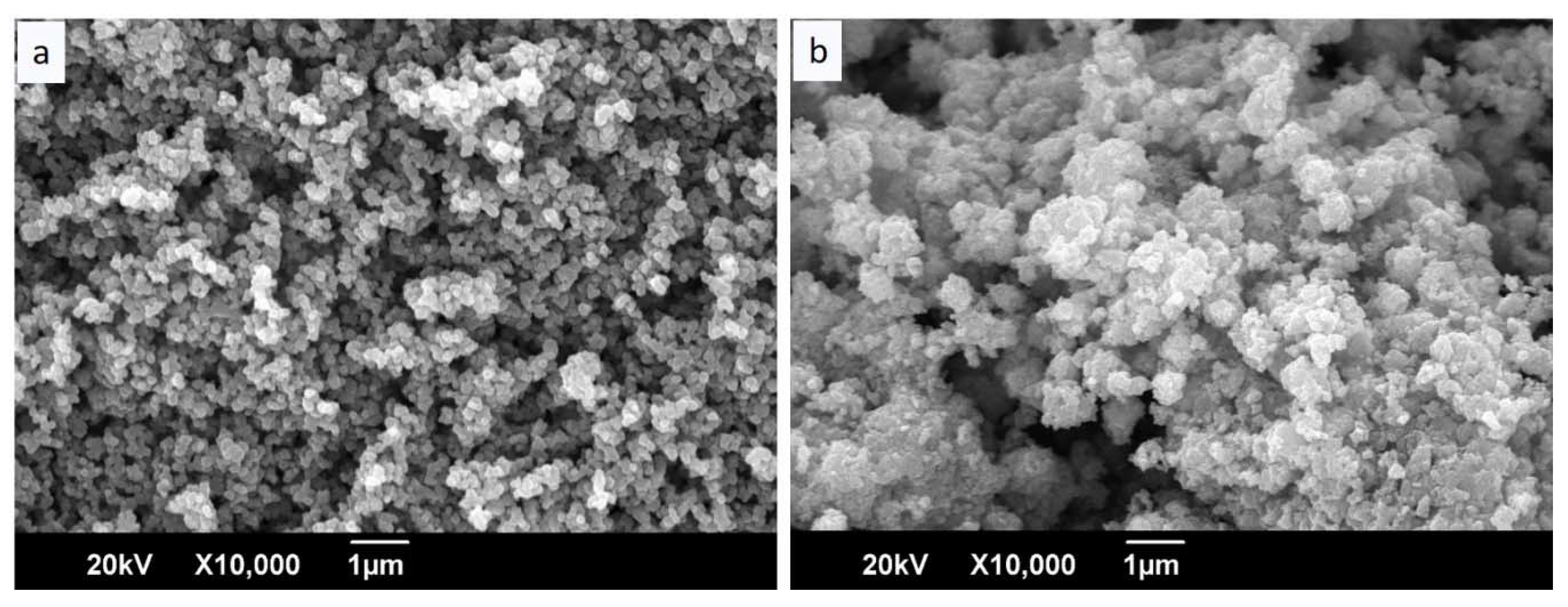 Coatings 10 00157 g005
