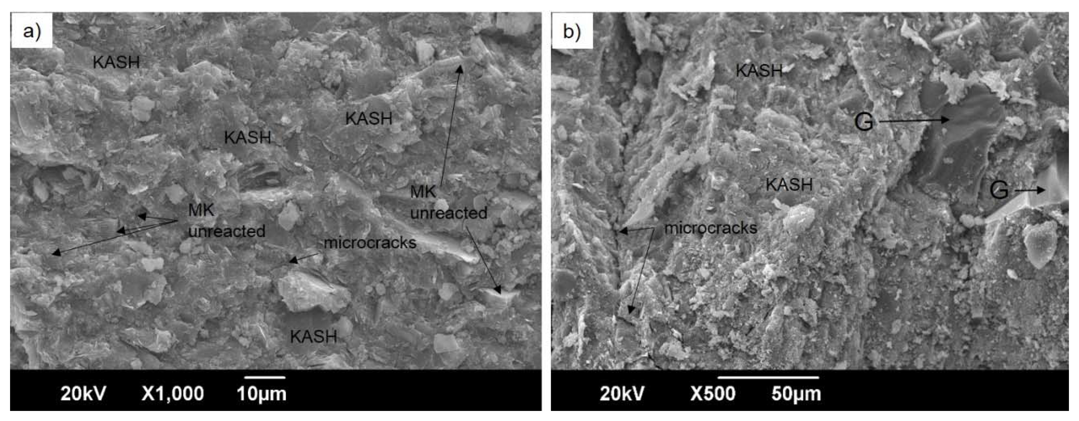 Coatings 10 00157 g007
