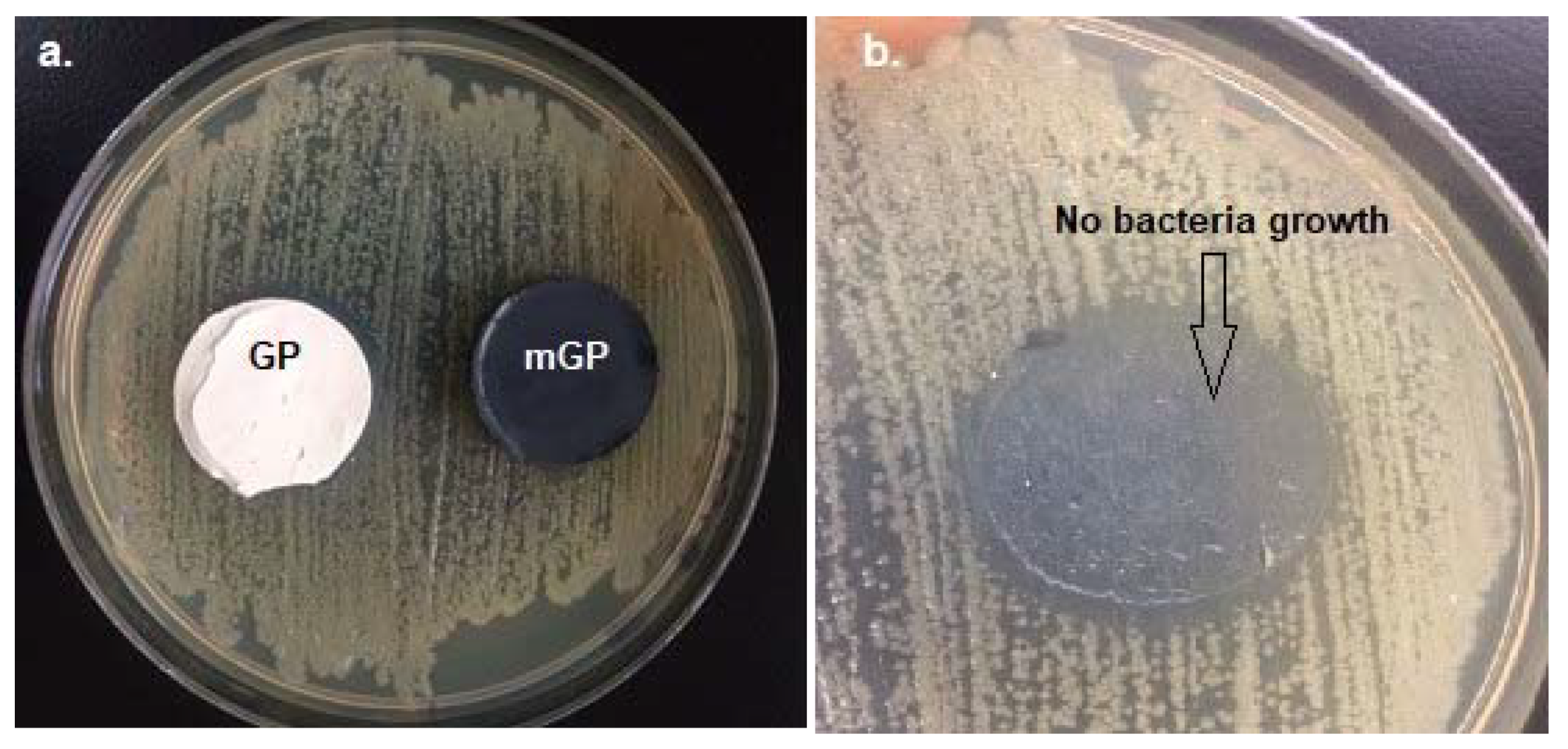 Coatings 10 00157 g008