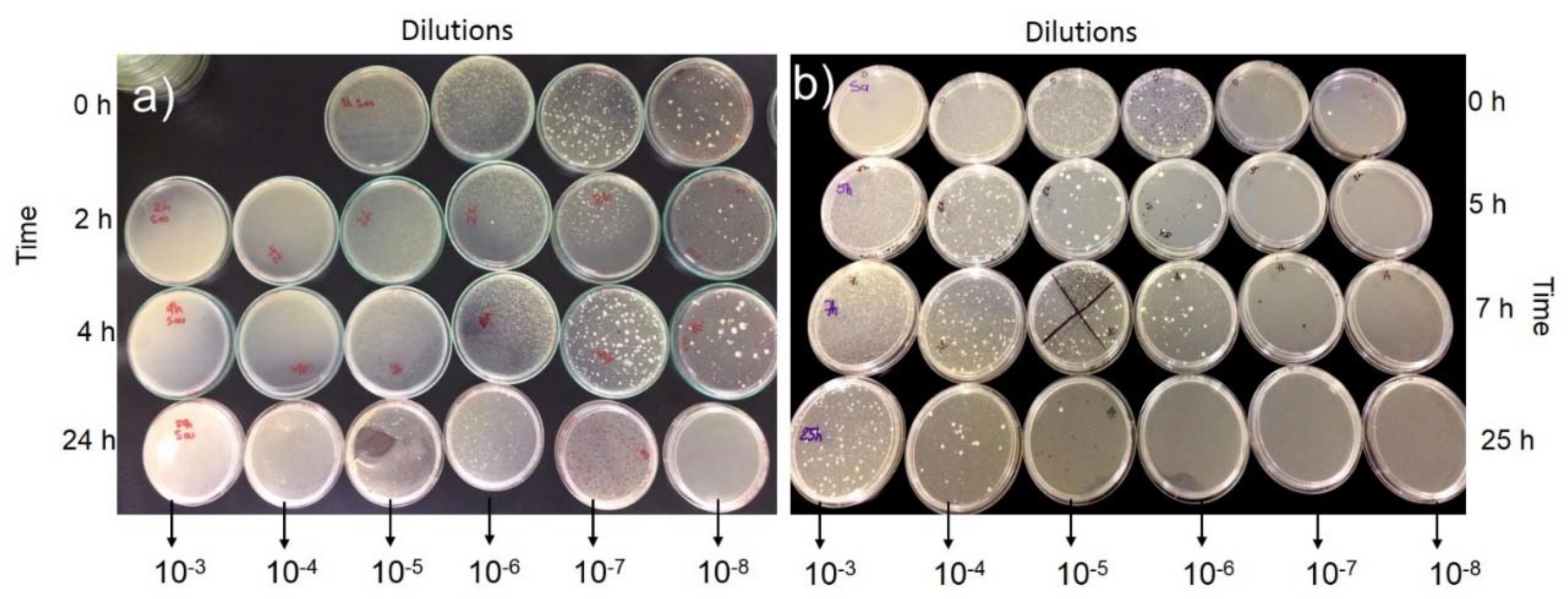 Coatings 10 00157 g009