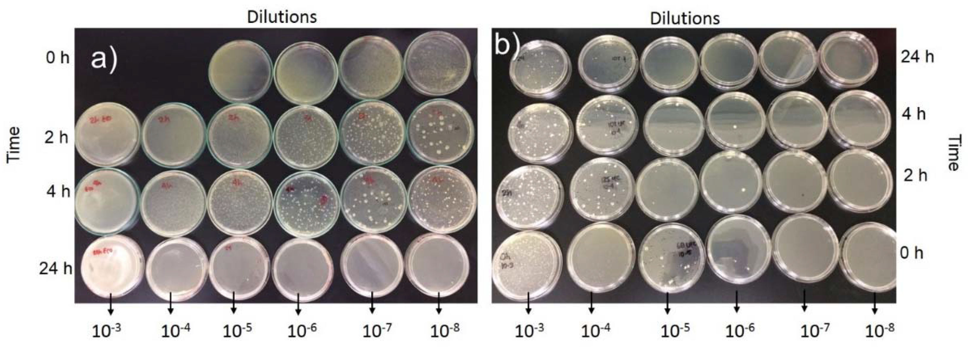 Coatings 10 00157 g011