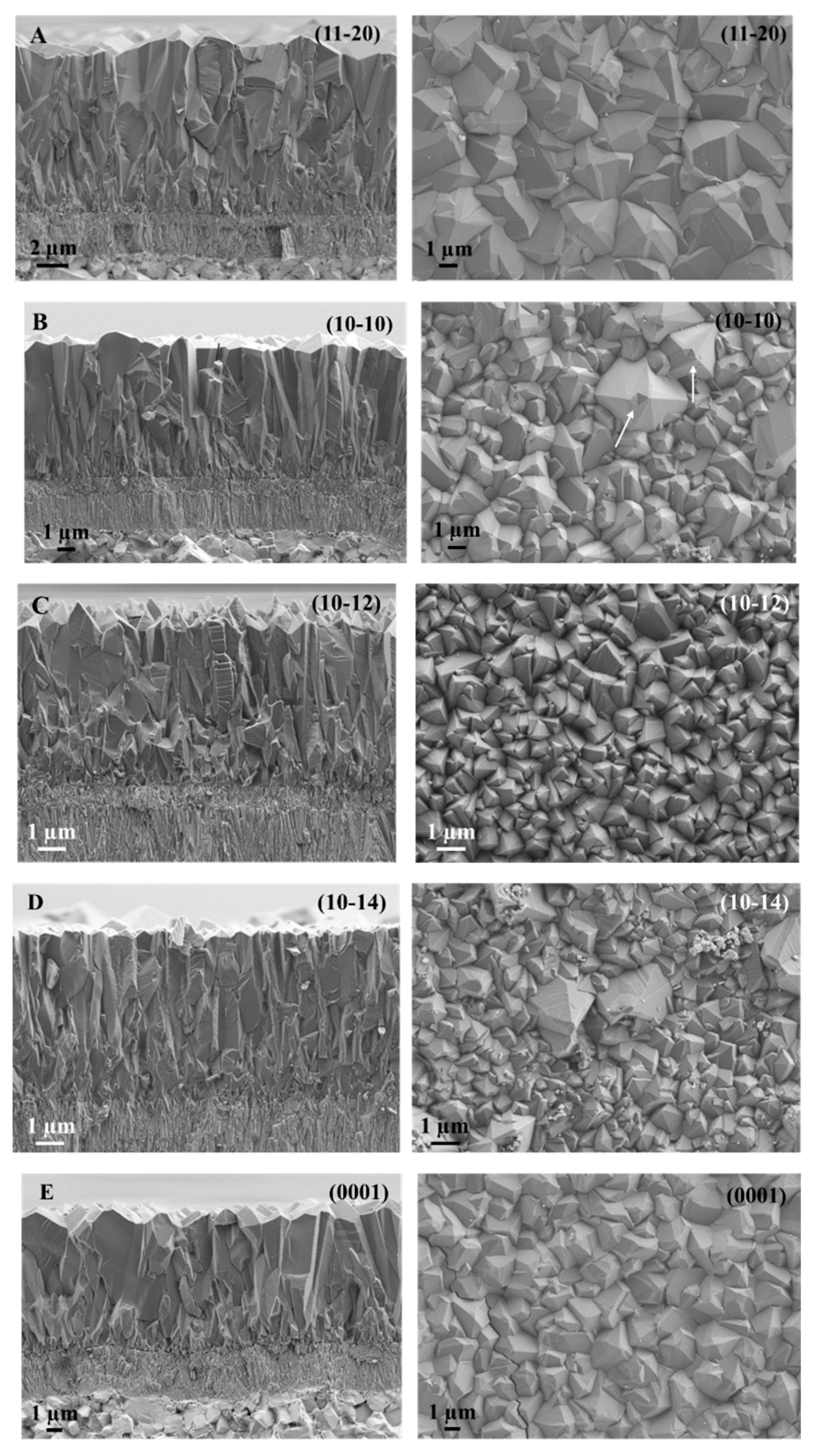 Coatings 10 00158 g006