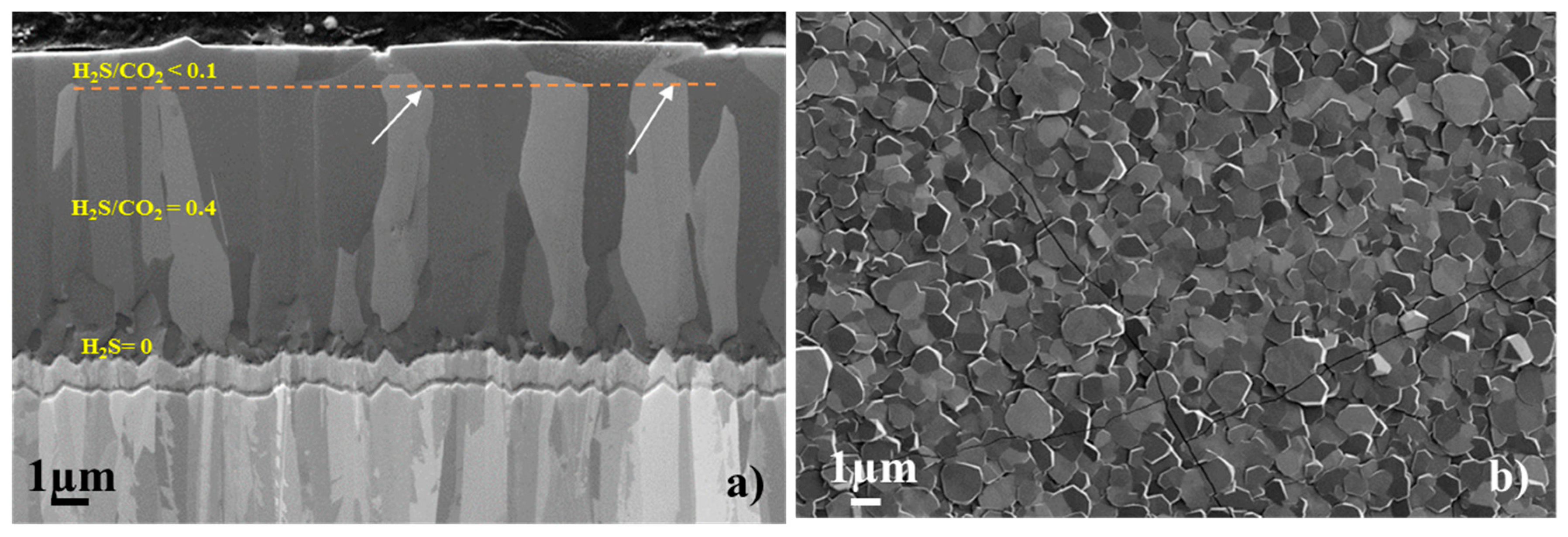 Coatings 10 00158 g009