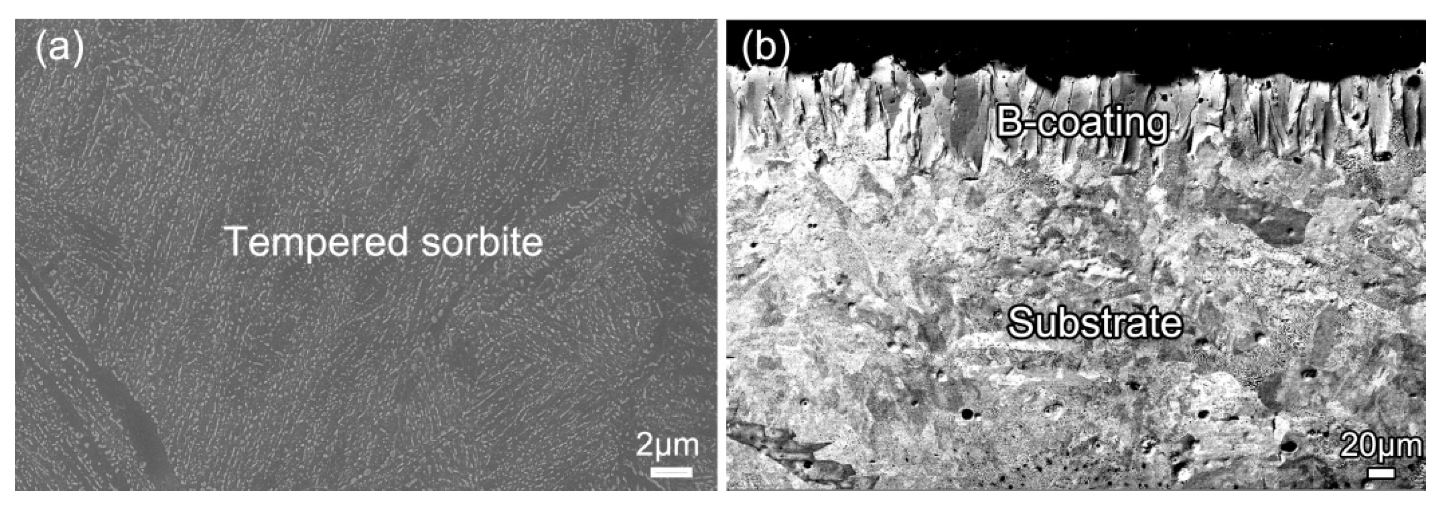 Coatings 10 00159 g002