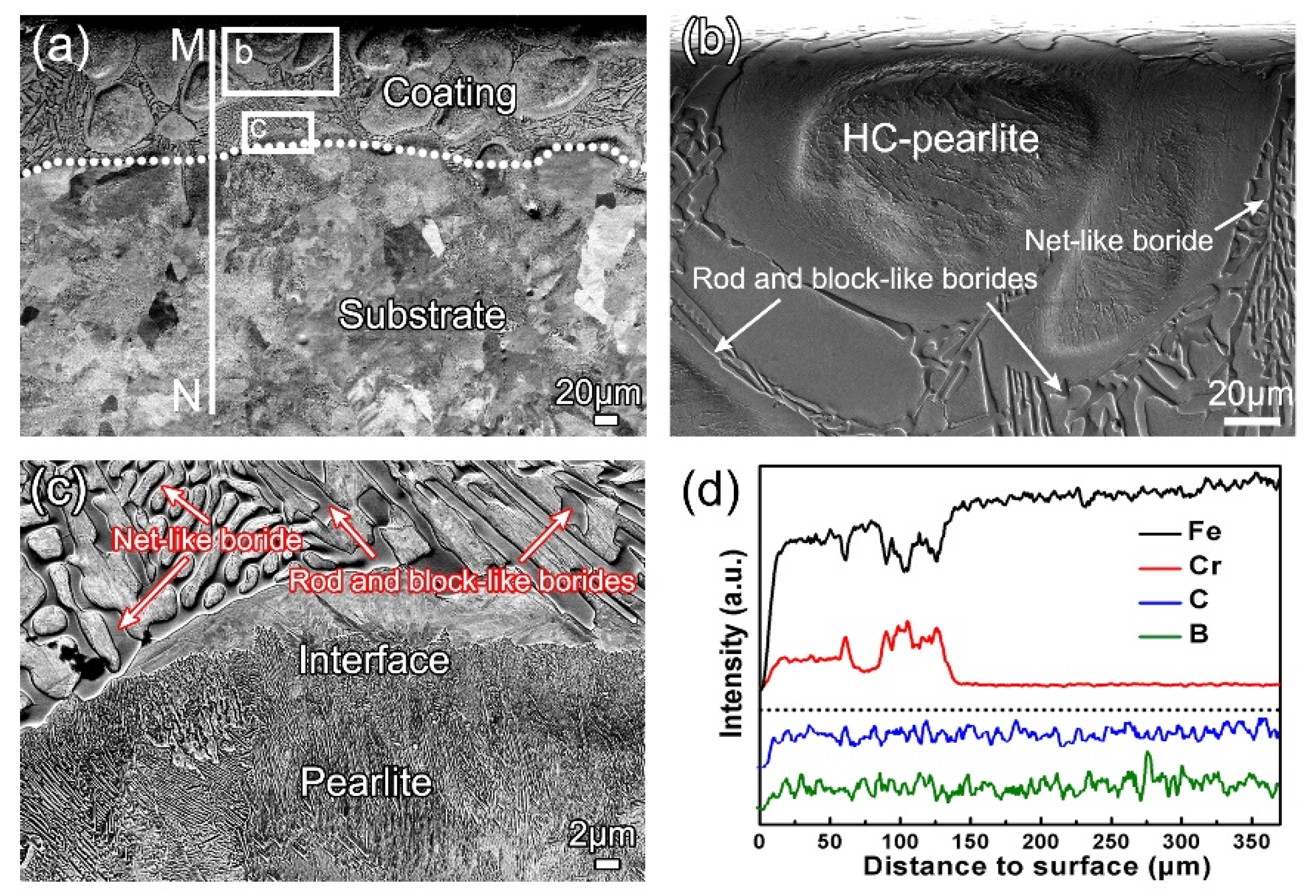 Coatings 10 00159 g003