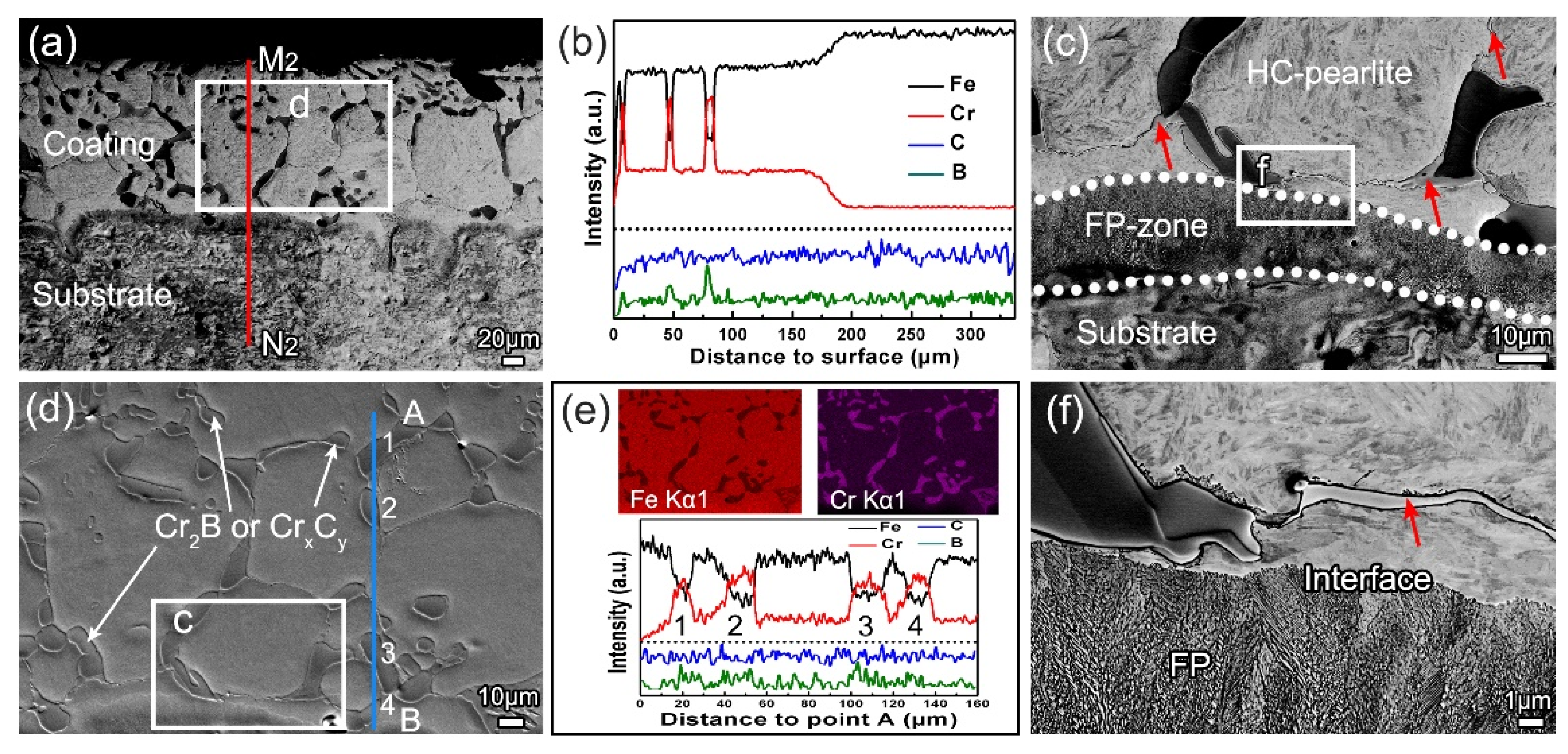 Coatings 10 00159 g005
