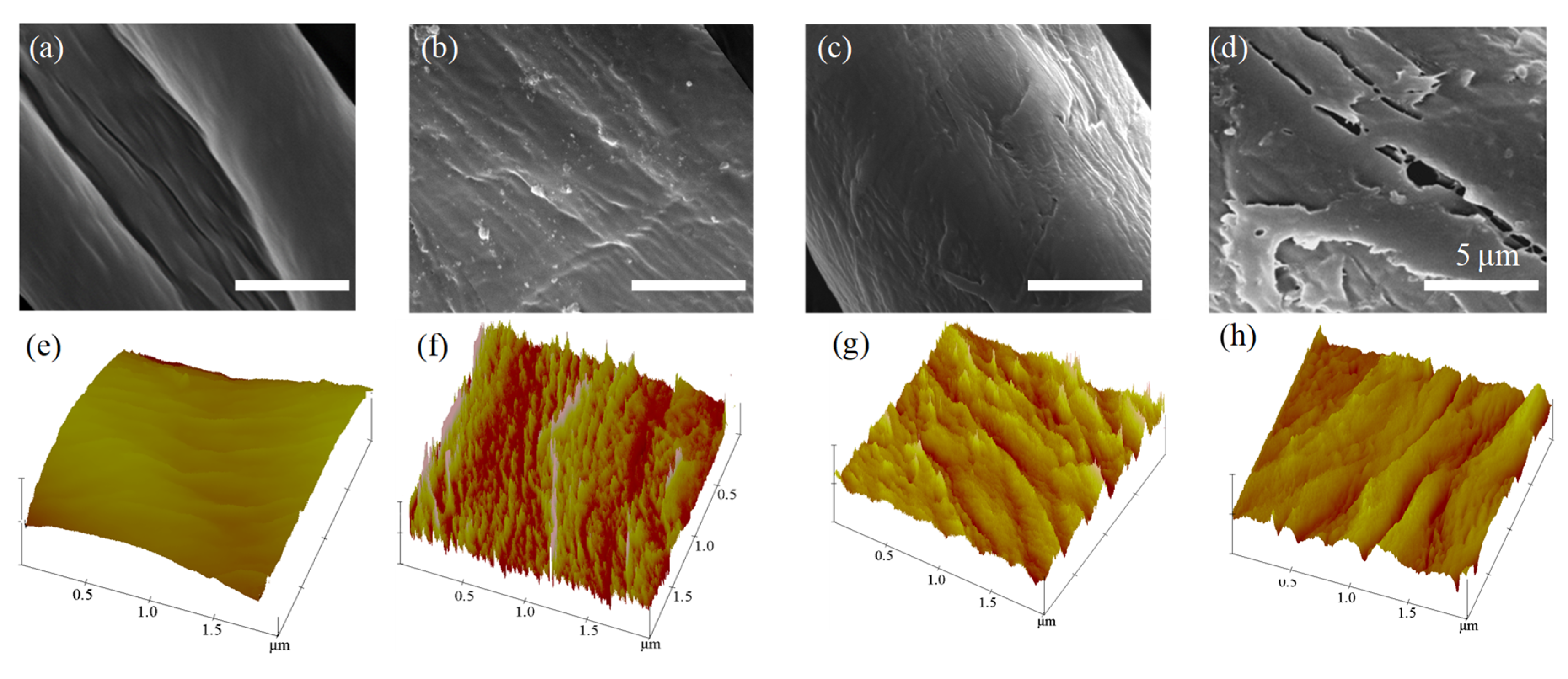 Coatings 10 00160 g003