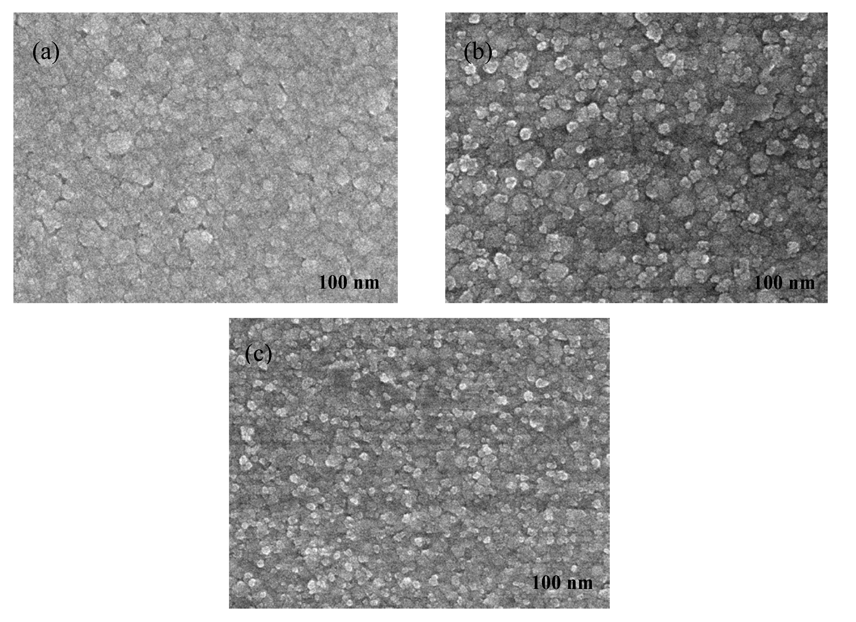 Coatings 10 00164 g005