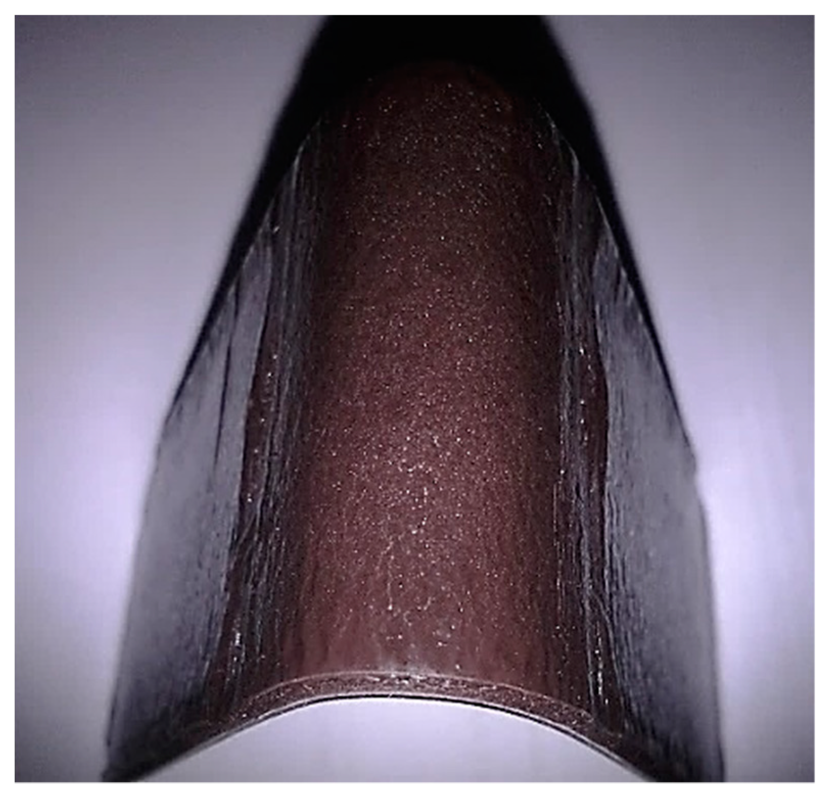 Coatings 10 00165 g010