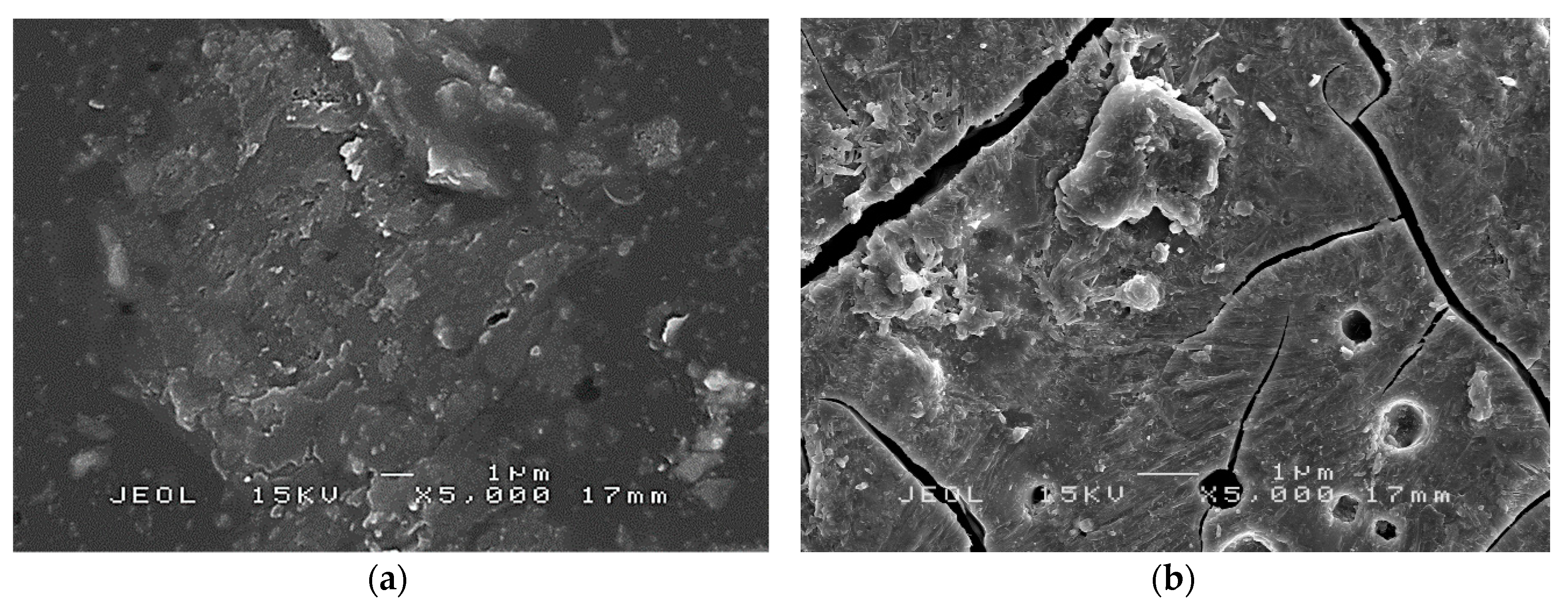 Coatings 10 00165 g014