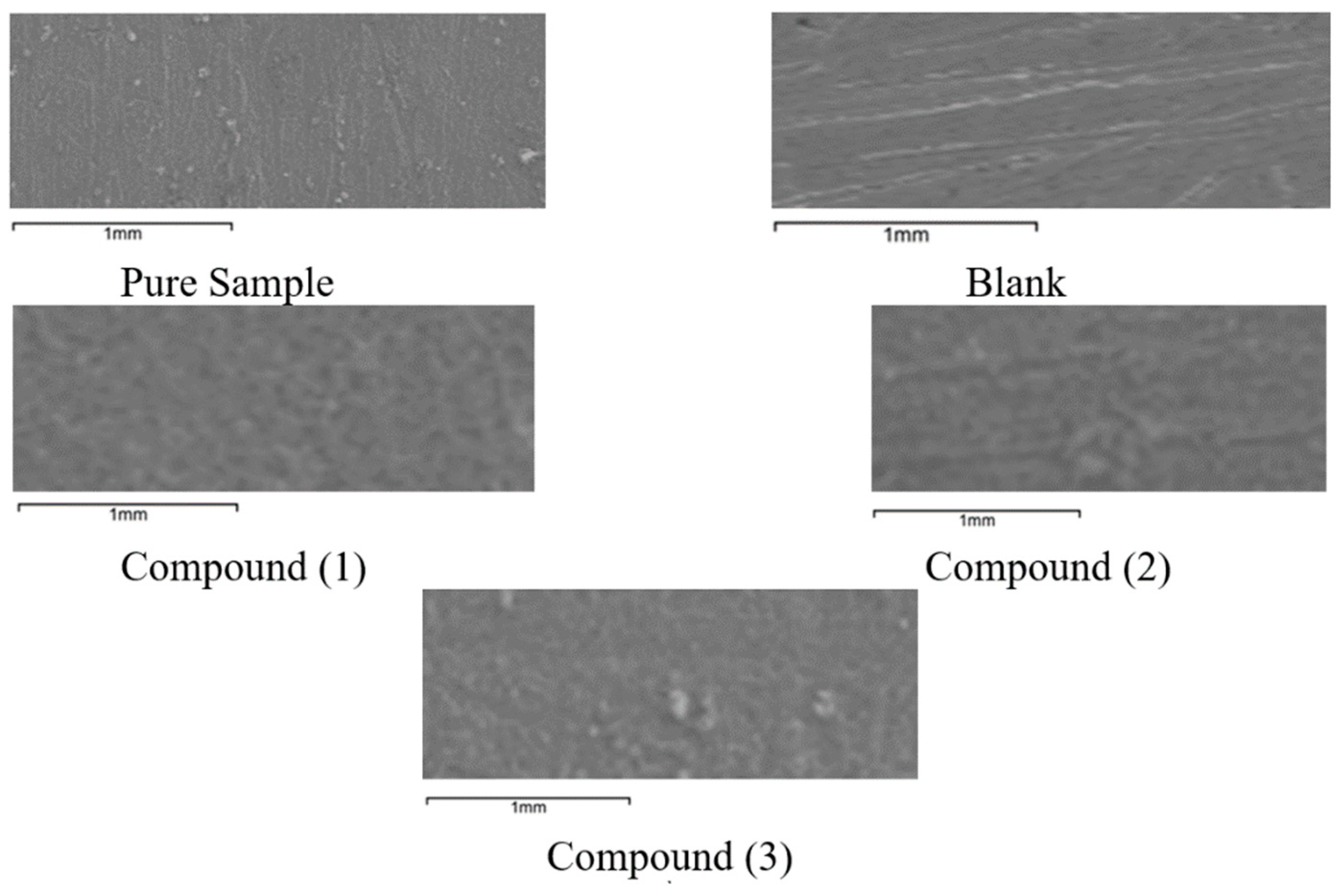 Coatings 10 00167 g008