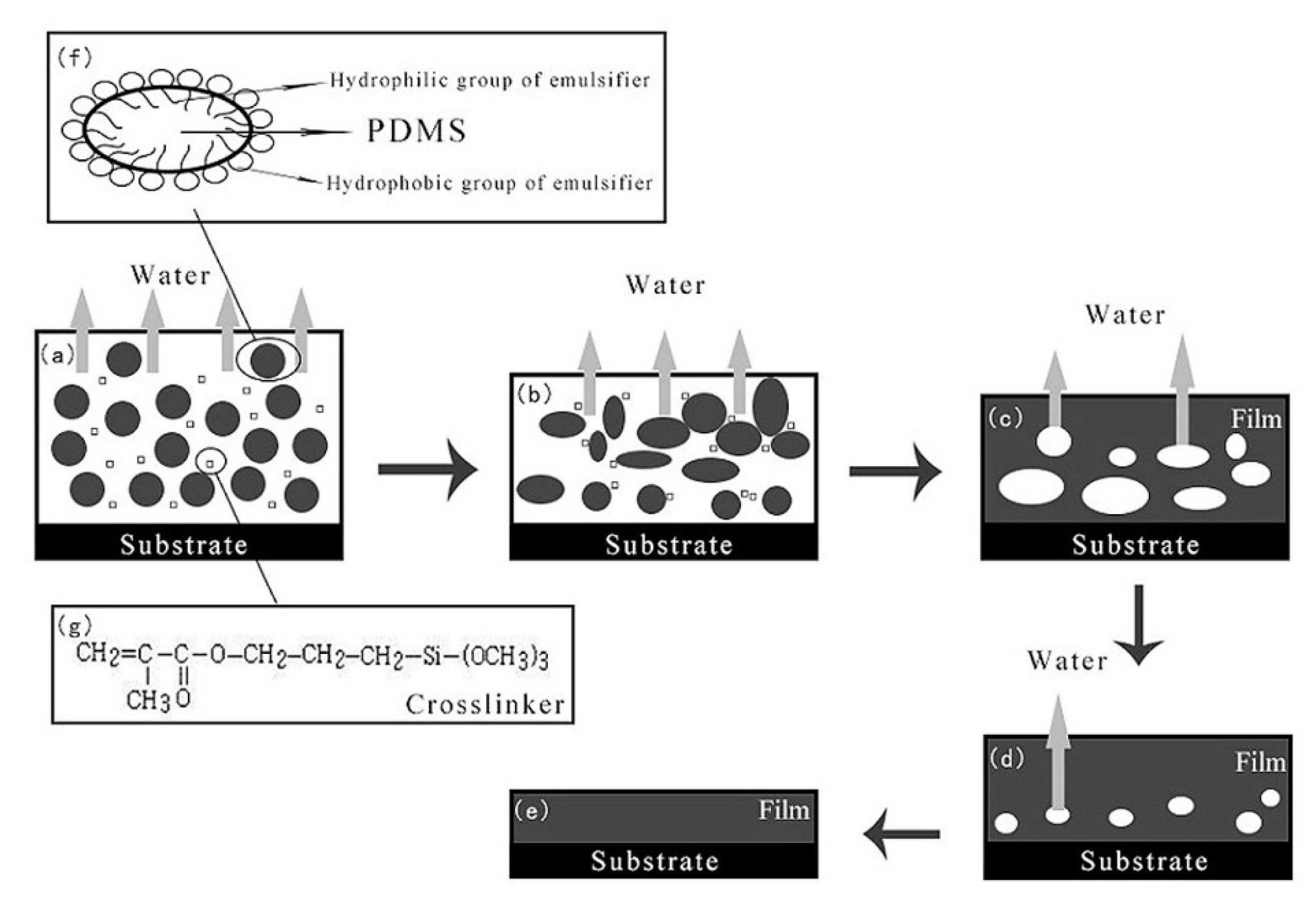 Coatings 10 00168 g003