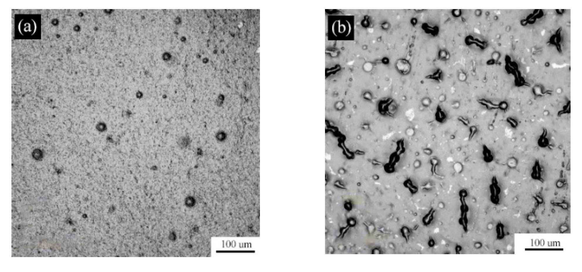 Coatings 10 00168 g006