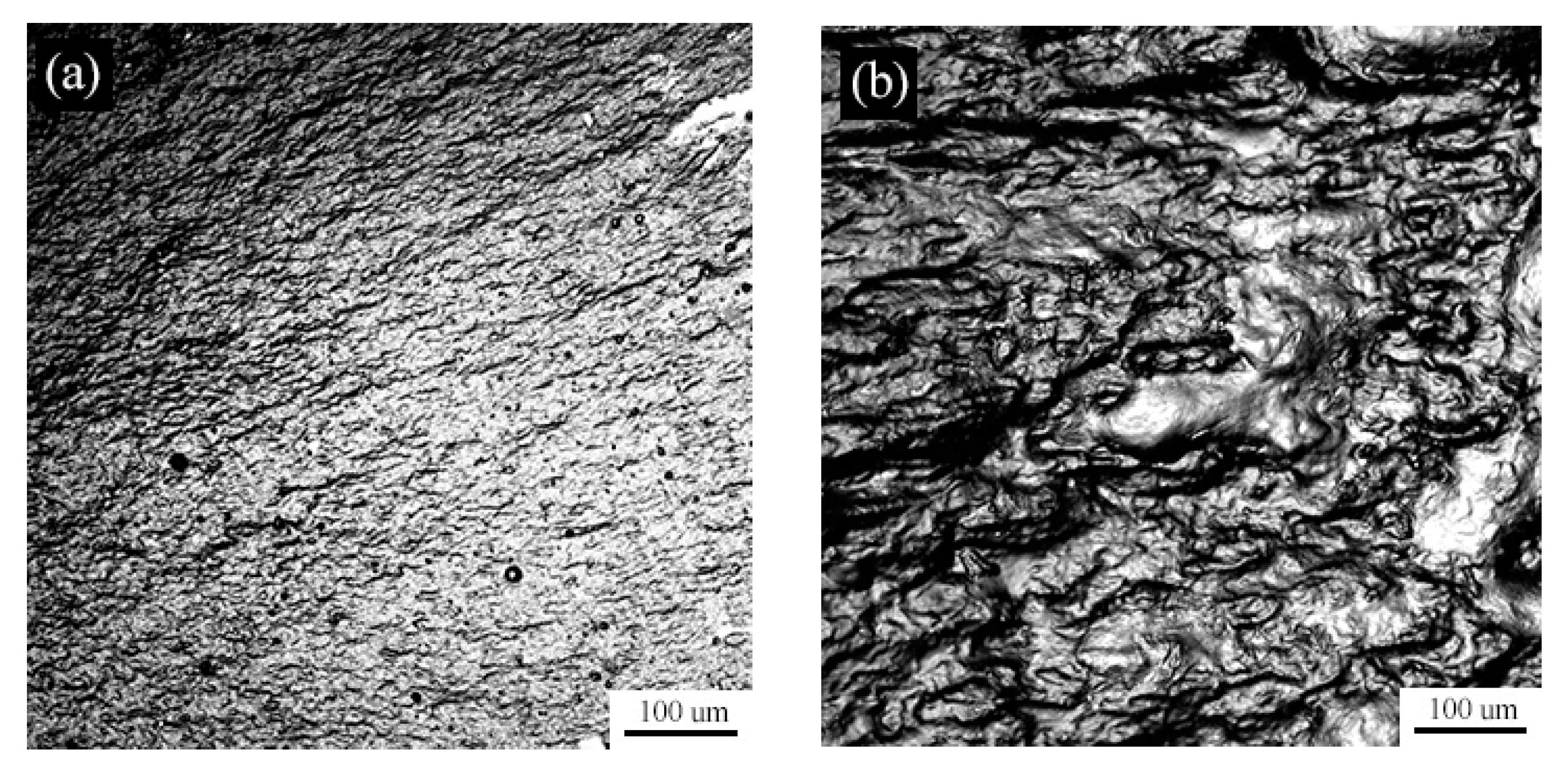 Coatings 10 00168 g008