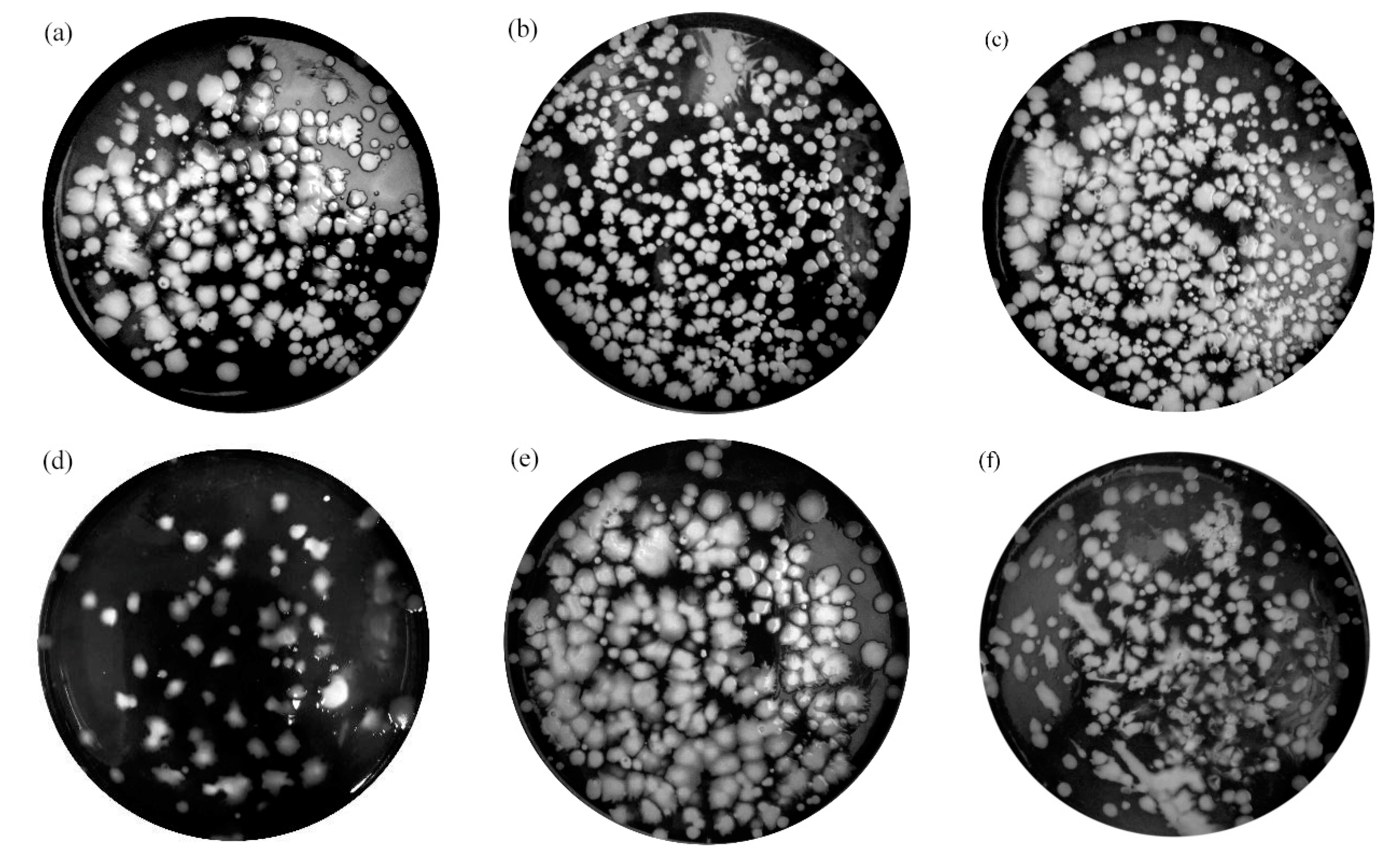 Coatings 10 00168 g009