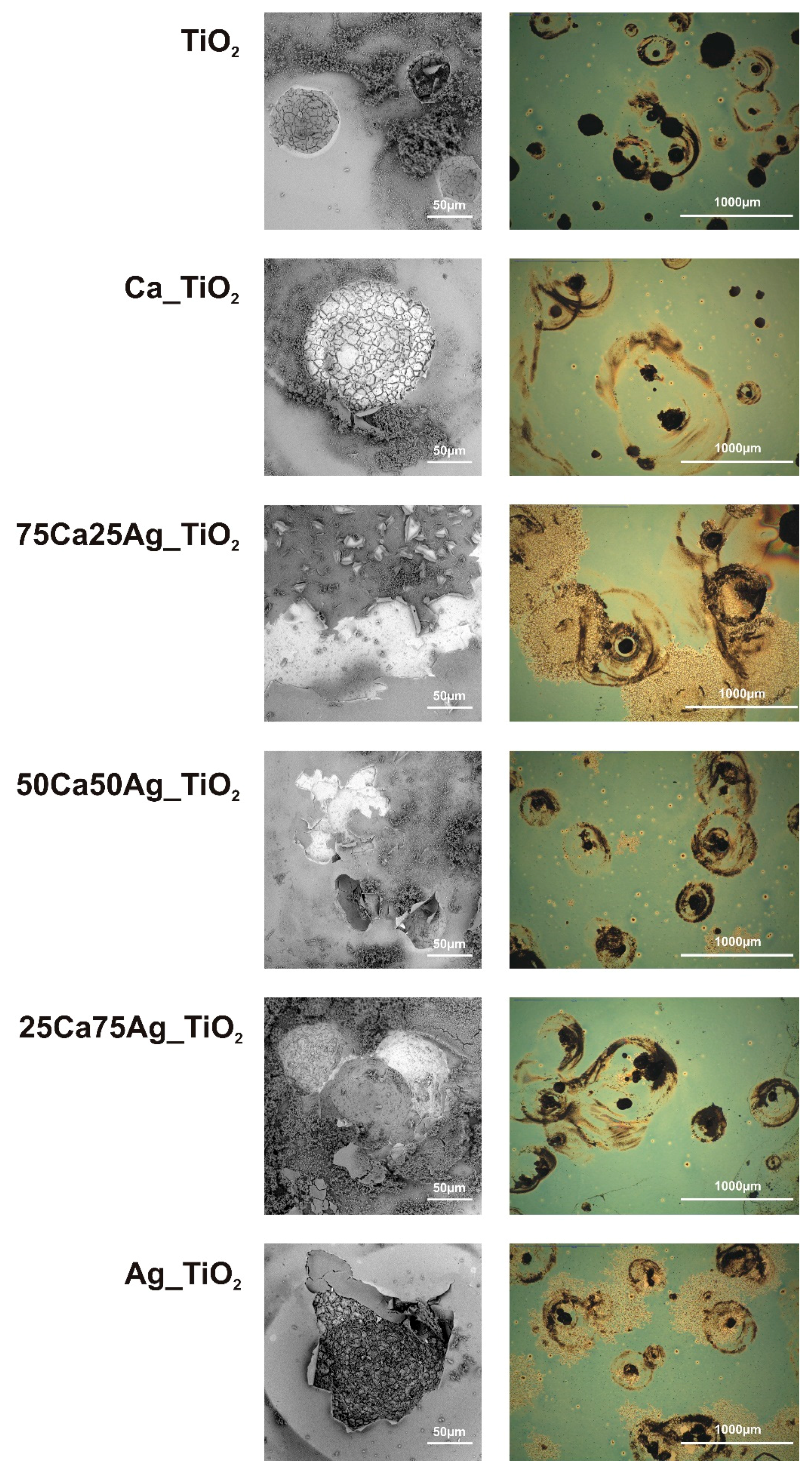 Coatings 10 00169 g005 Coatings 10 00169 g005