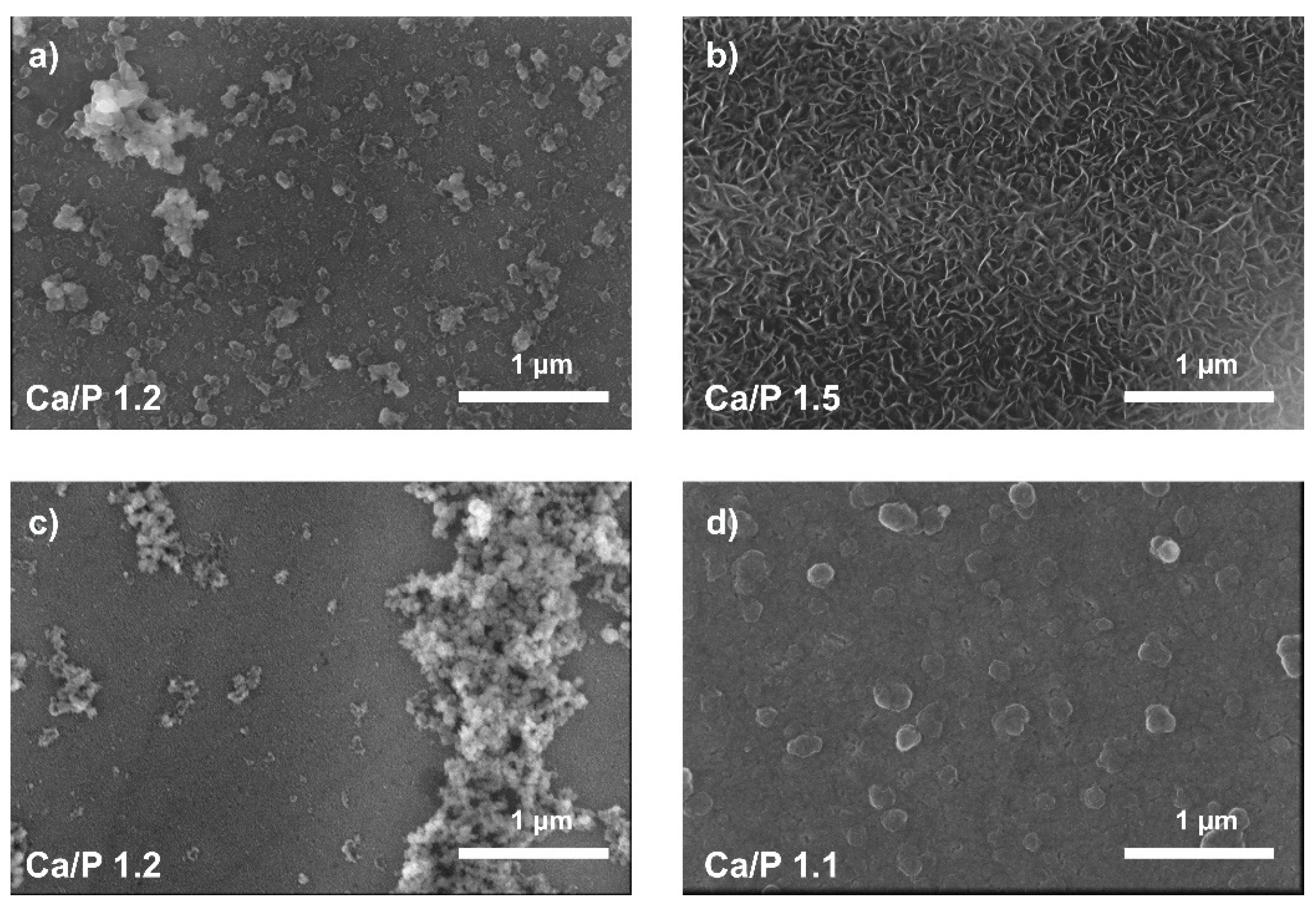 Coatings 10 00169 g006 Coatings 10 00169 g006