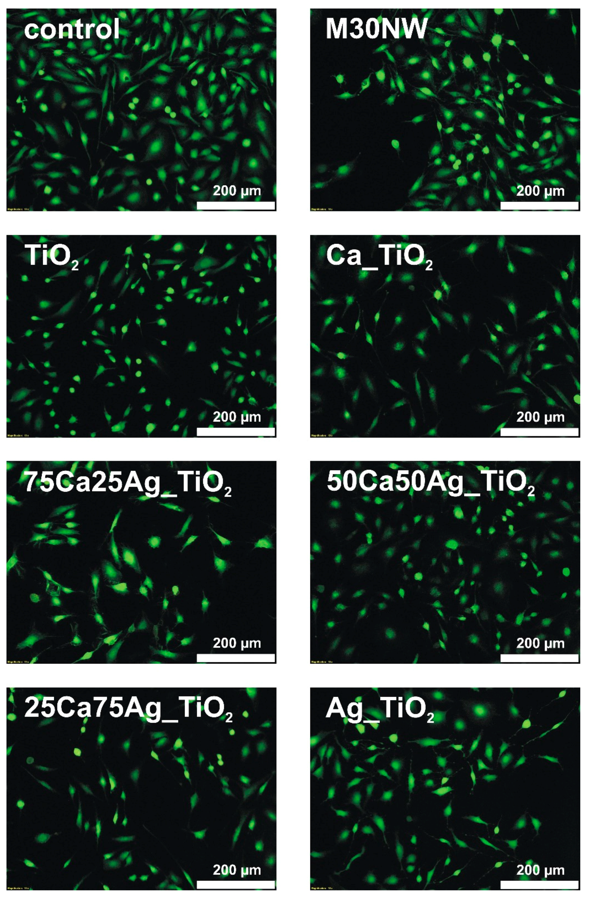 Coatings 10 00169 g010 Coatings 10 00169 g010