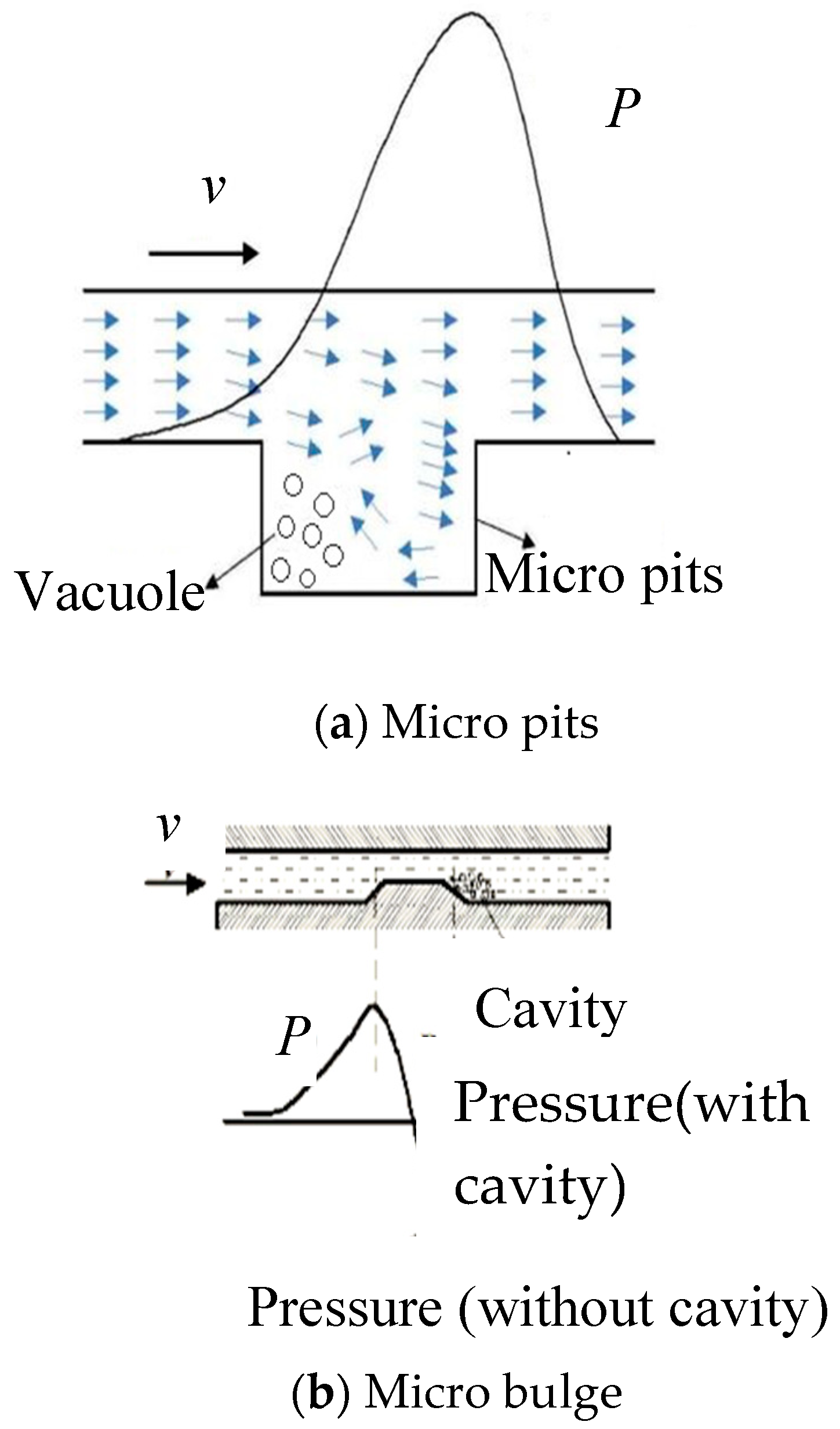 Coatings 10 00171 g001
