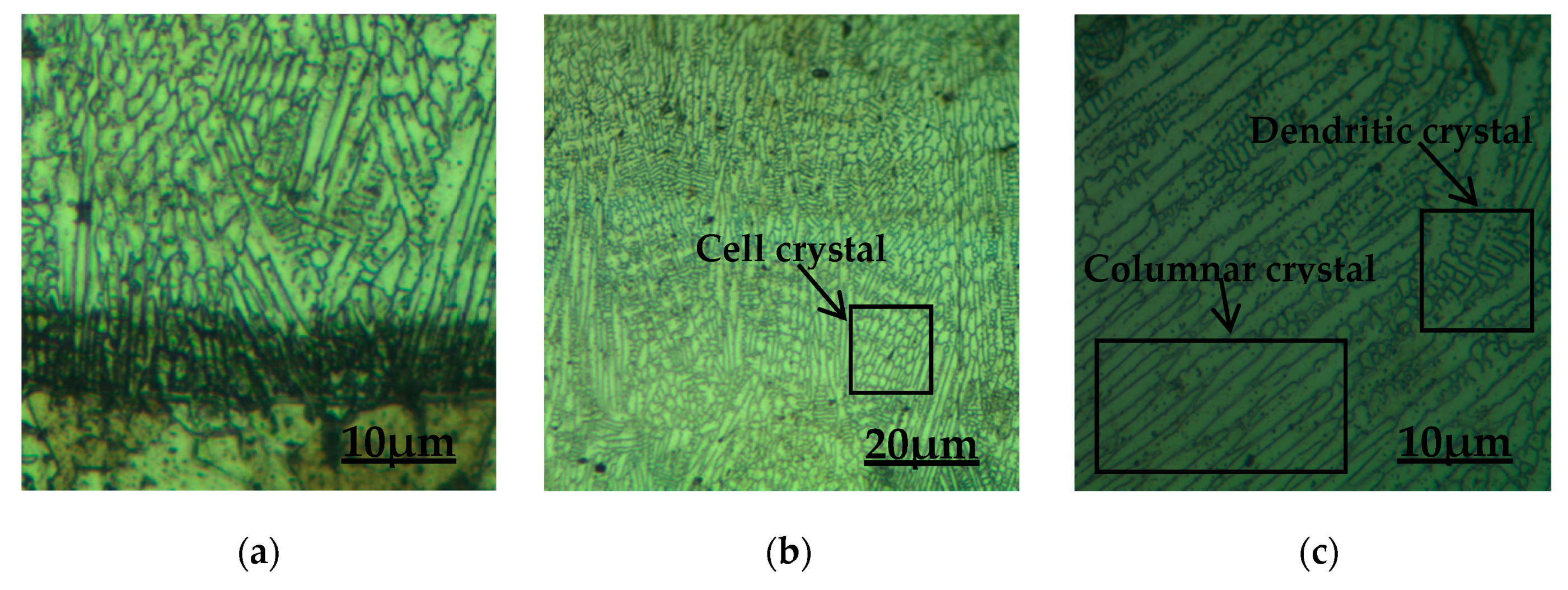 Coatings 10 00176 g003