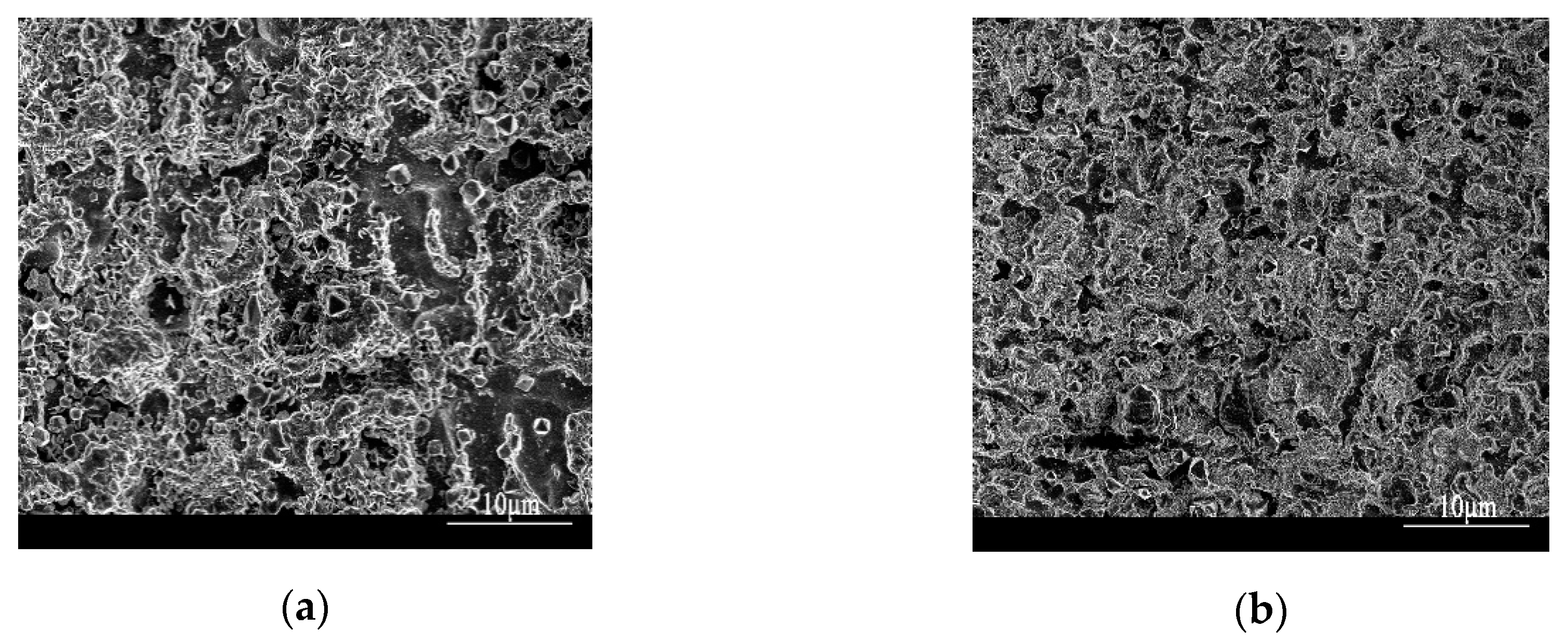 Coatings 10 00176 g014a