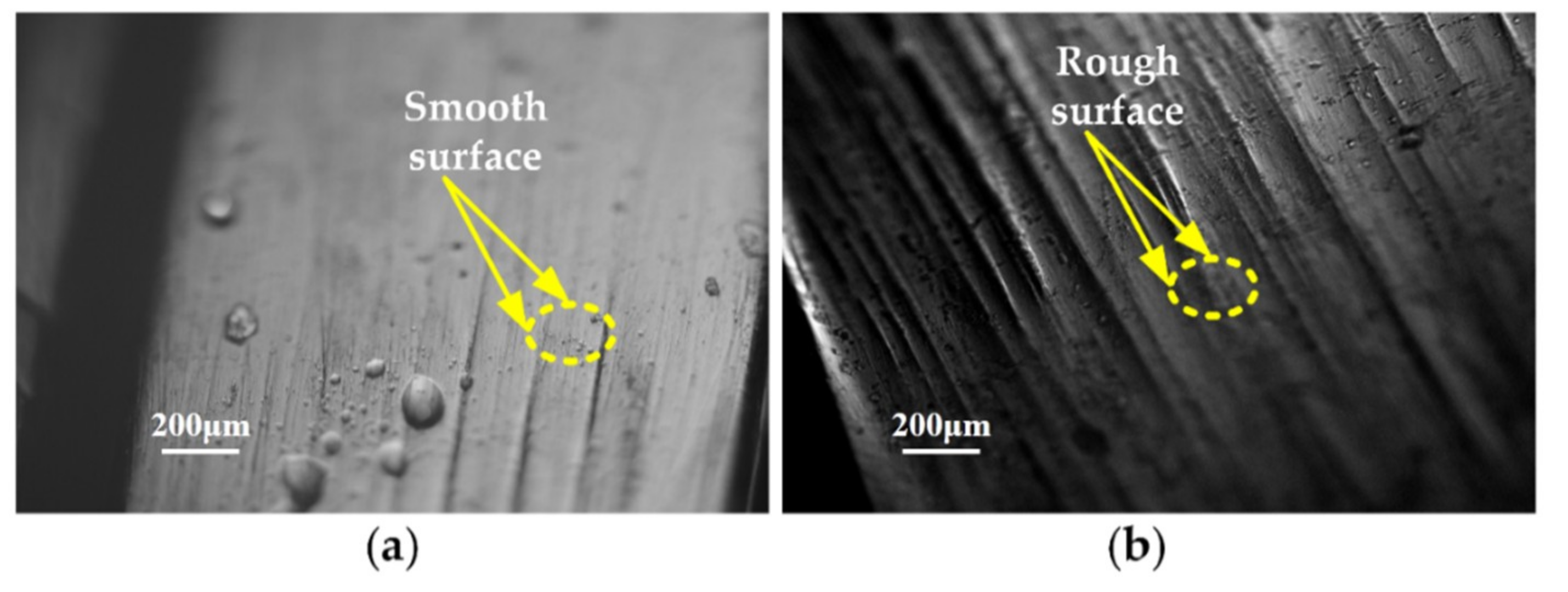 Coatings 10 00178 g002