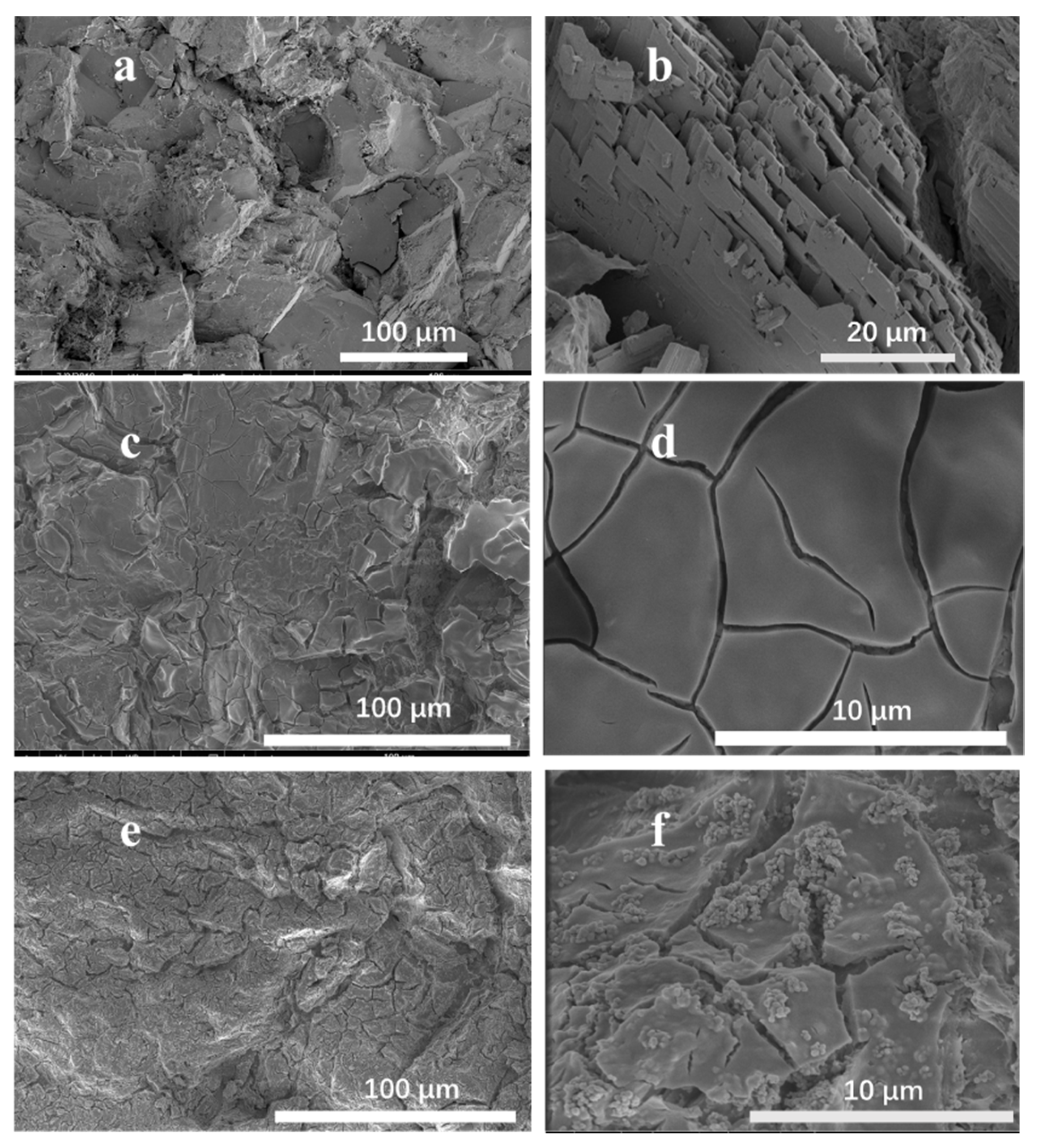 Coatings 10 00179 g002