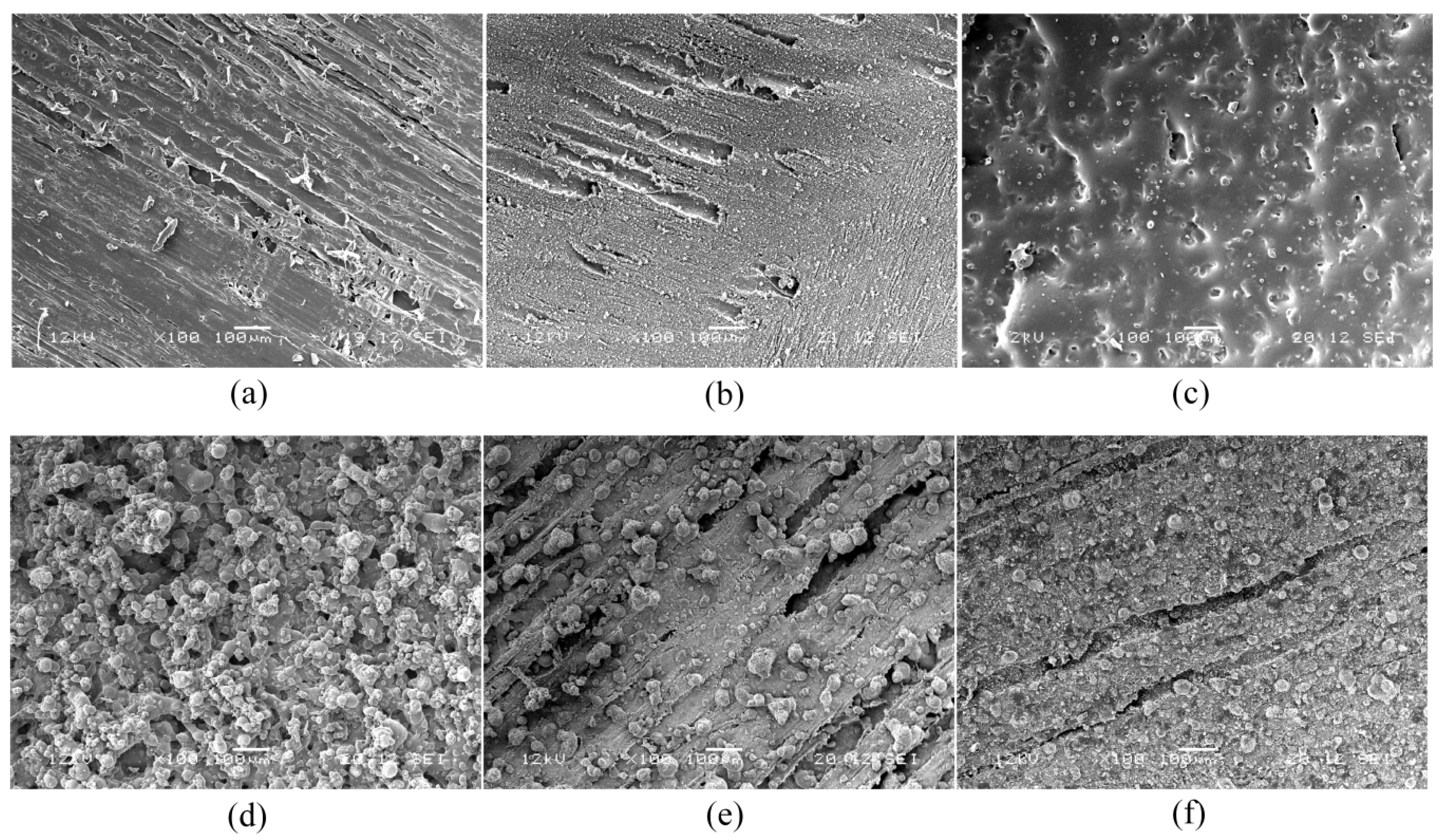 Coatings 10 00184 g002 Coatings 10 00184 g002