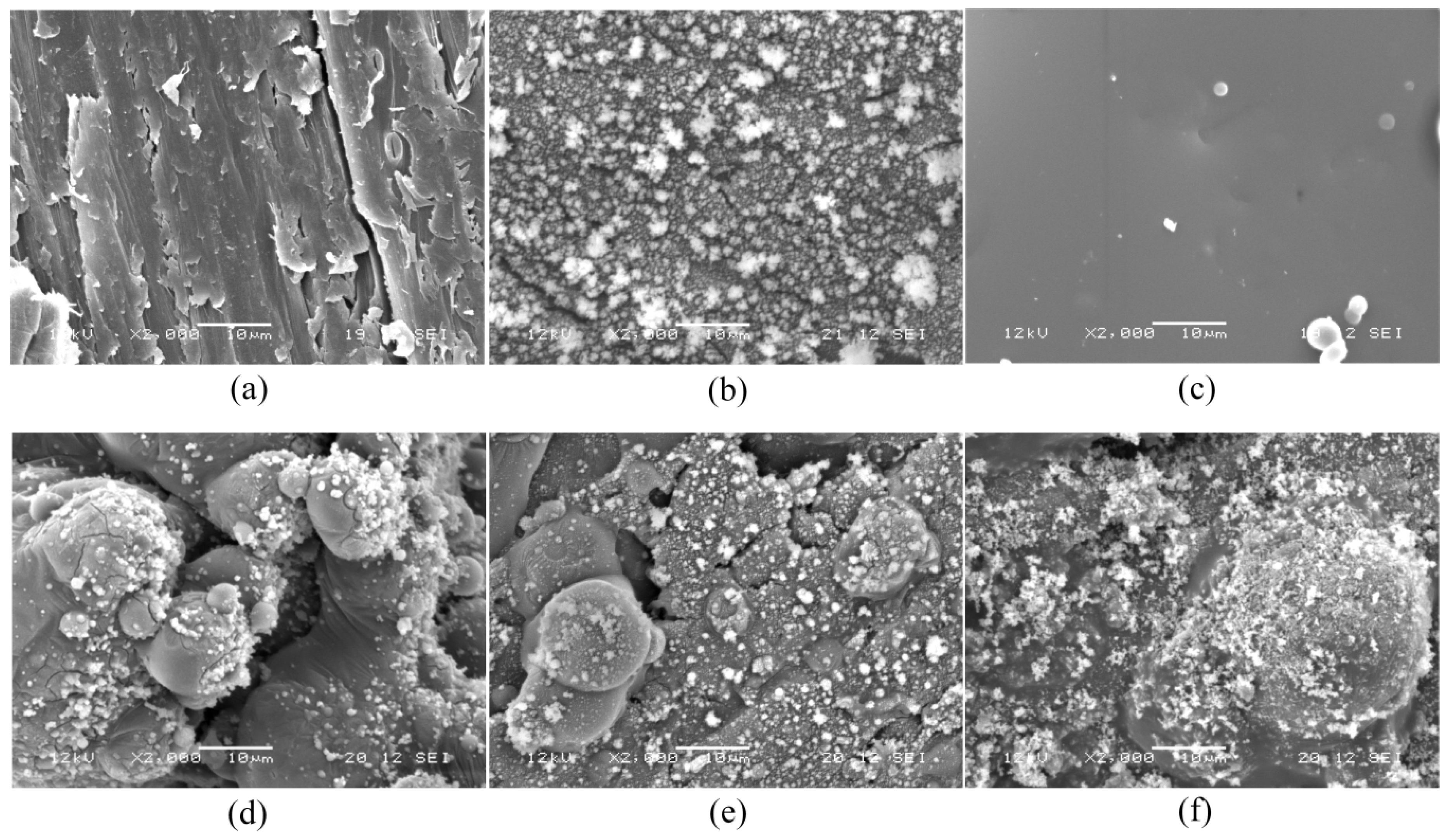 Coatings 10 00184 g003 Coatings 10 00184 g003