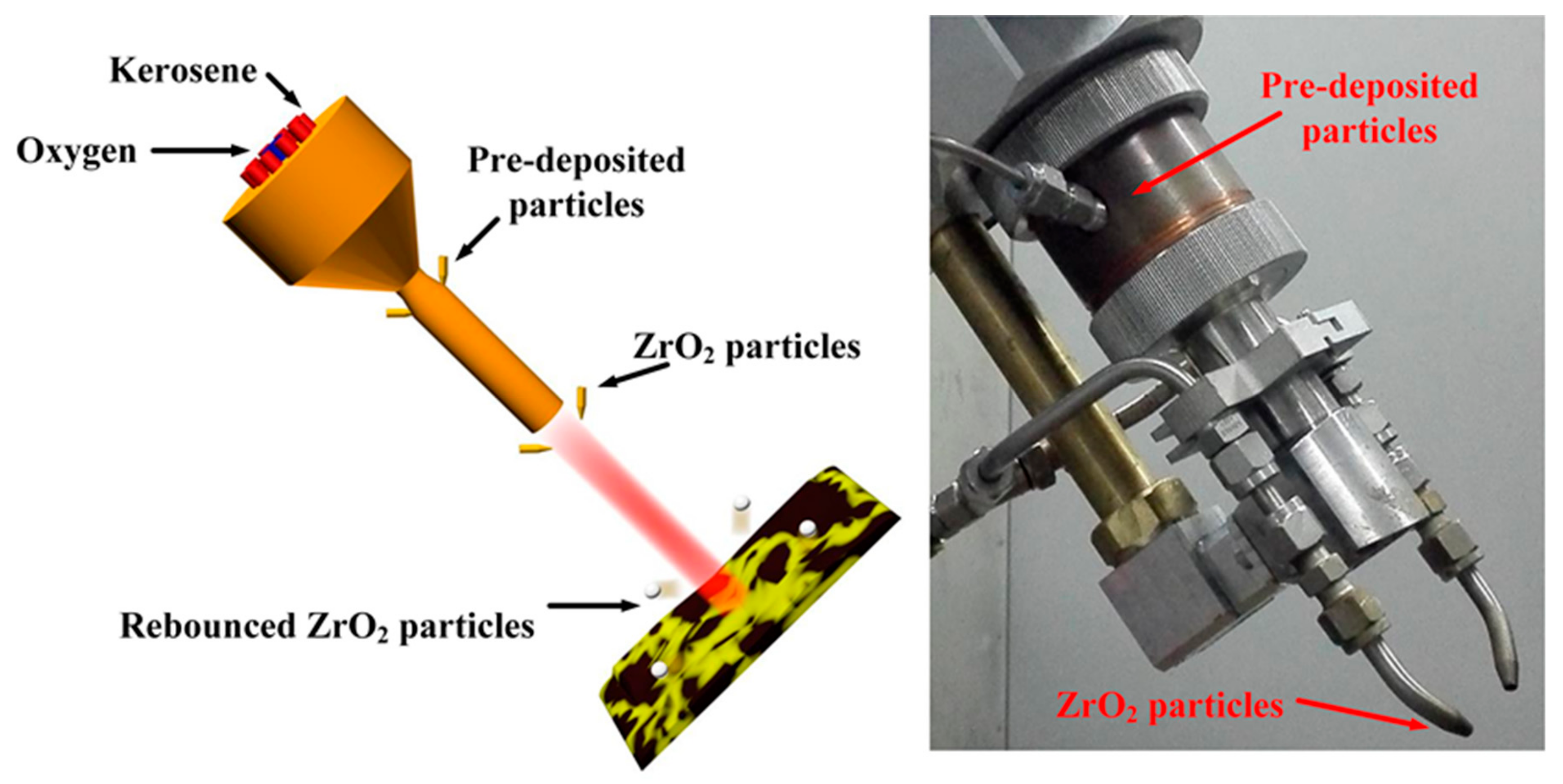 Coatings 10 00187 g002 Coatings 10 00187 g002