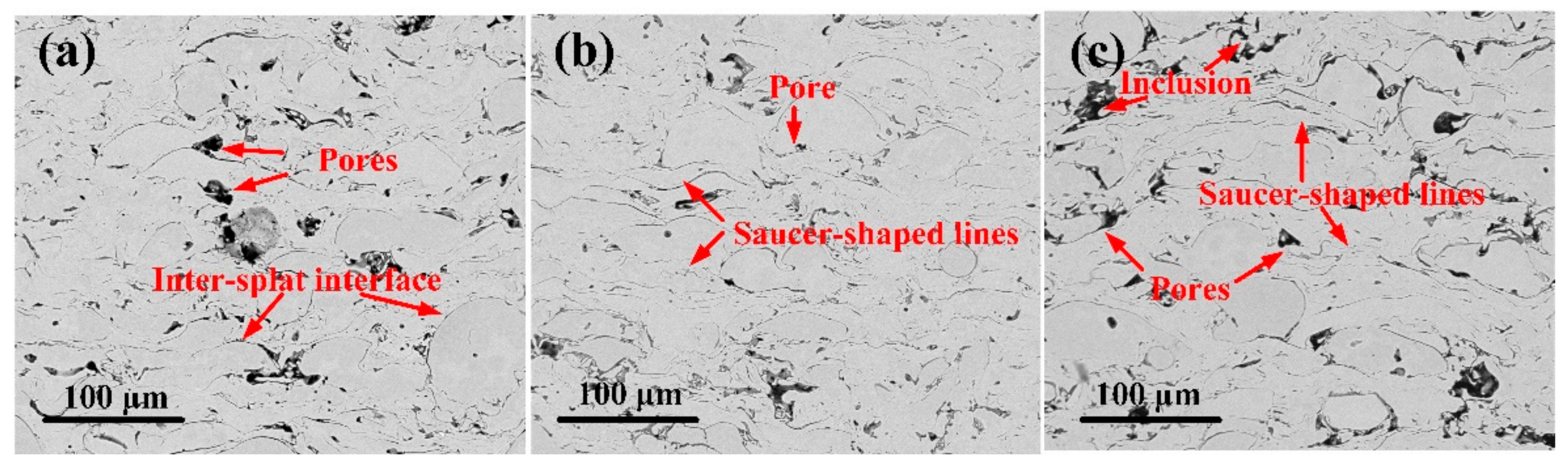 Coatings 10 00187 g006 Coatings 10 00187 g006