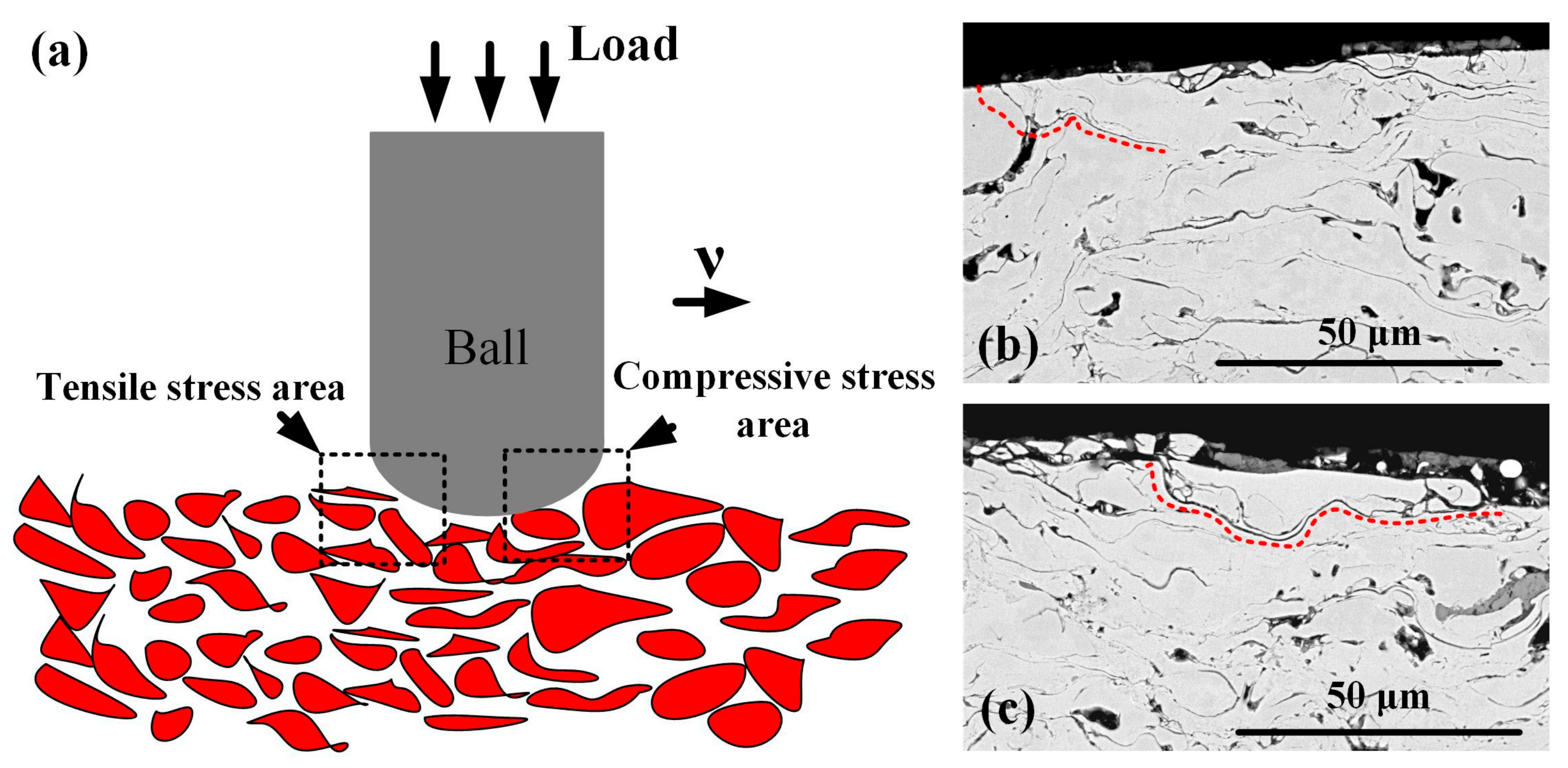 Coatings 10 00187 g011 Coatings 10 00187 g011