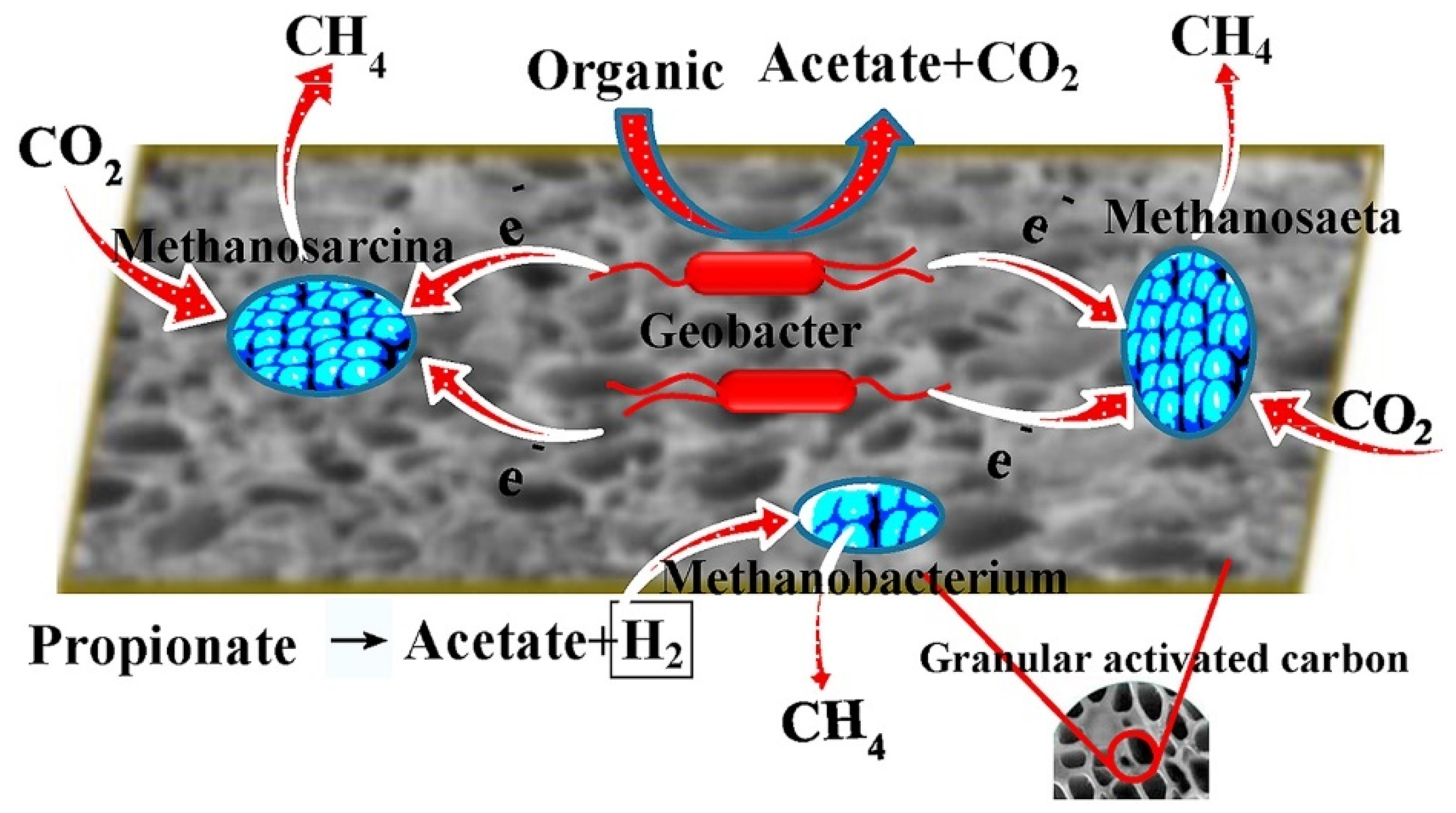Coatings 10 00193 g003