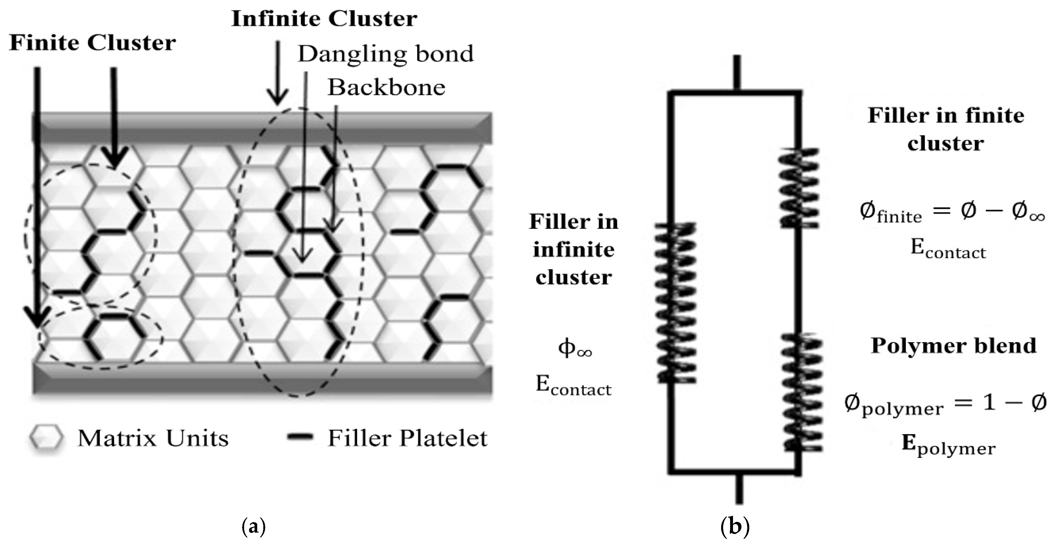 Coatings 10 00193 g008