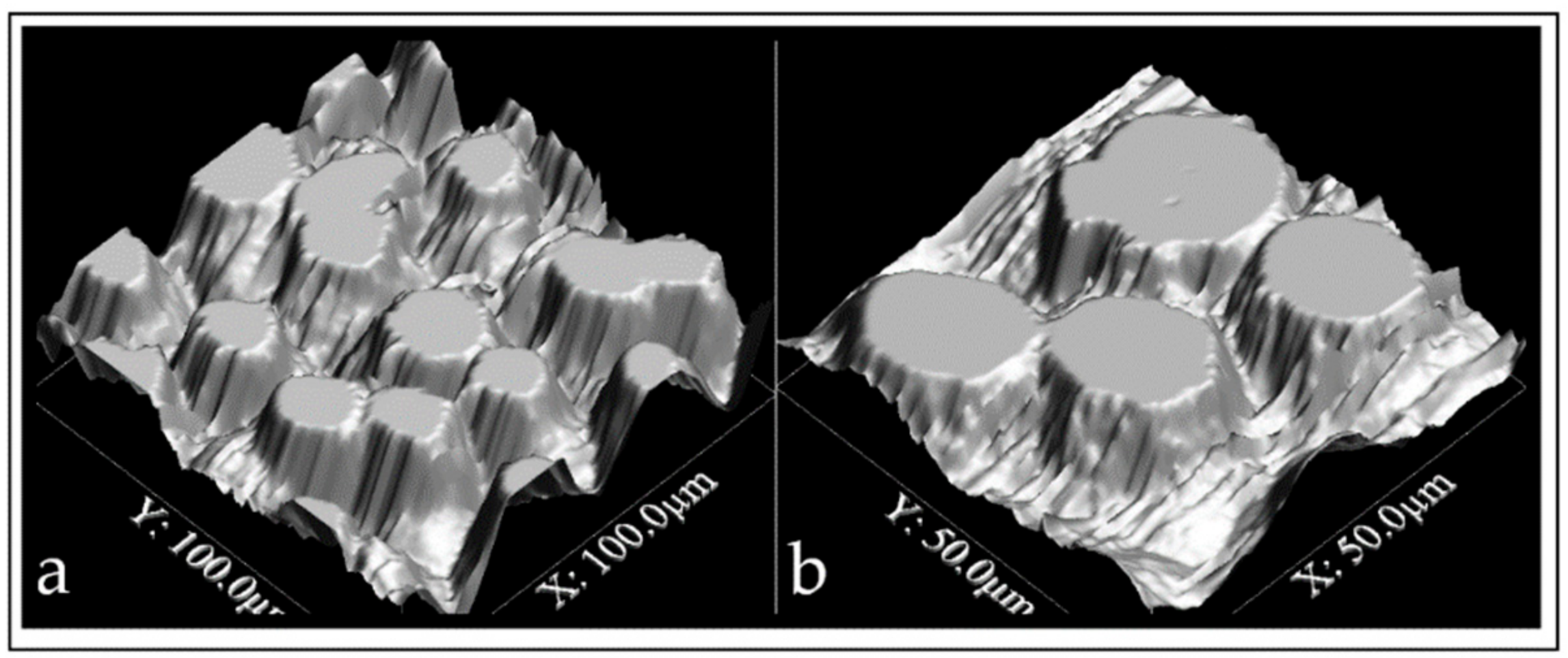 Coatings Free Full Text Assessment Of Streptococcus Mutans Adhesion To The Surface Of Biomimetically Modified Orthodontic Archwires Html Coatings Free Full Text Assessment Of Streptococcus Mutans Adhesion To The Surface Of Biomimetically Modified Orthodontic Archwires Html