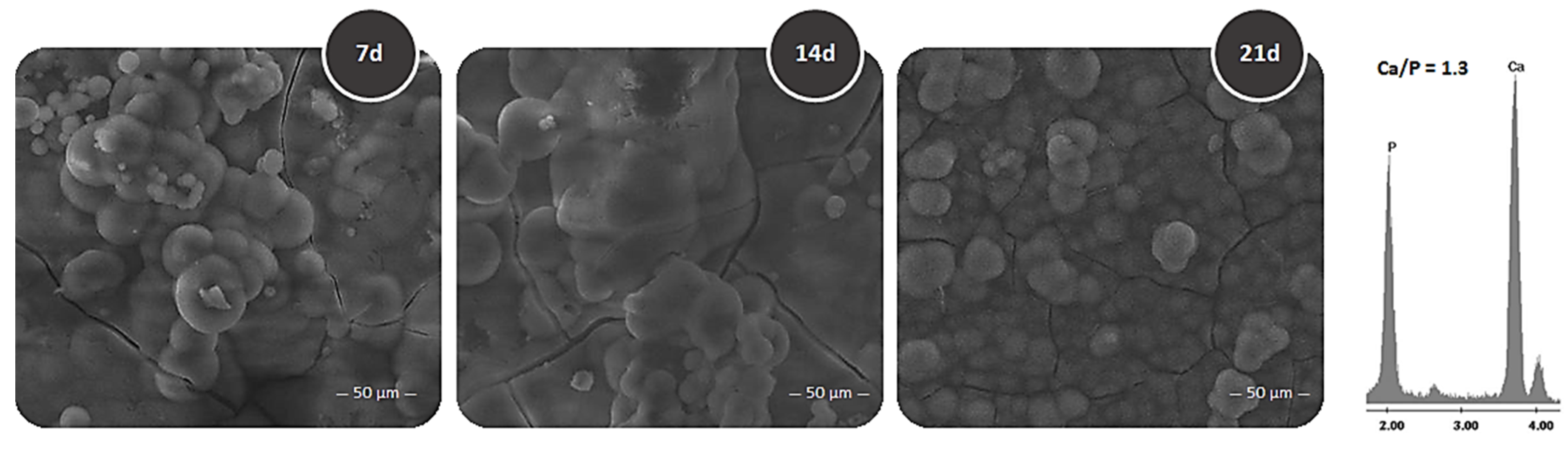 Coatings 10 00203 g005 Coatings 10 00203 g005