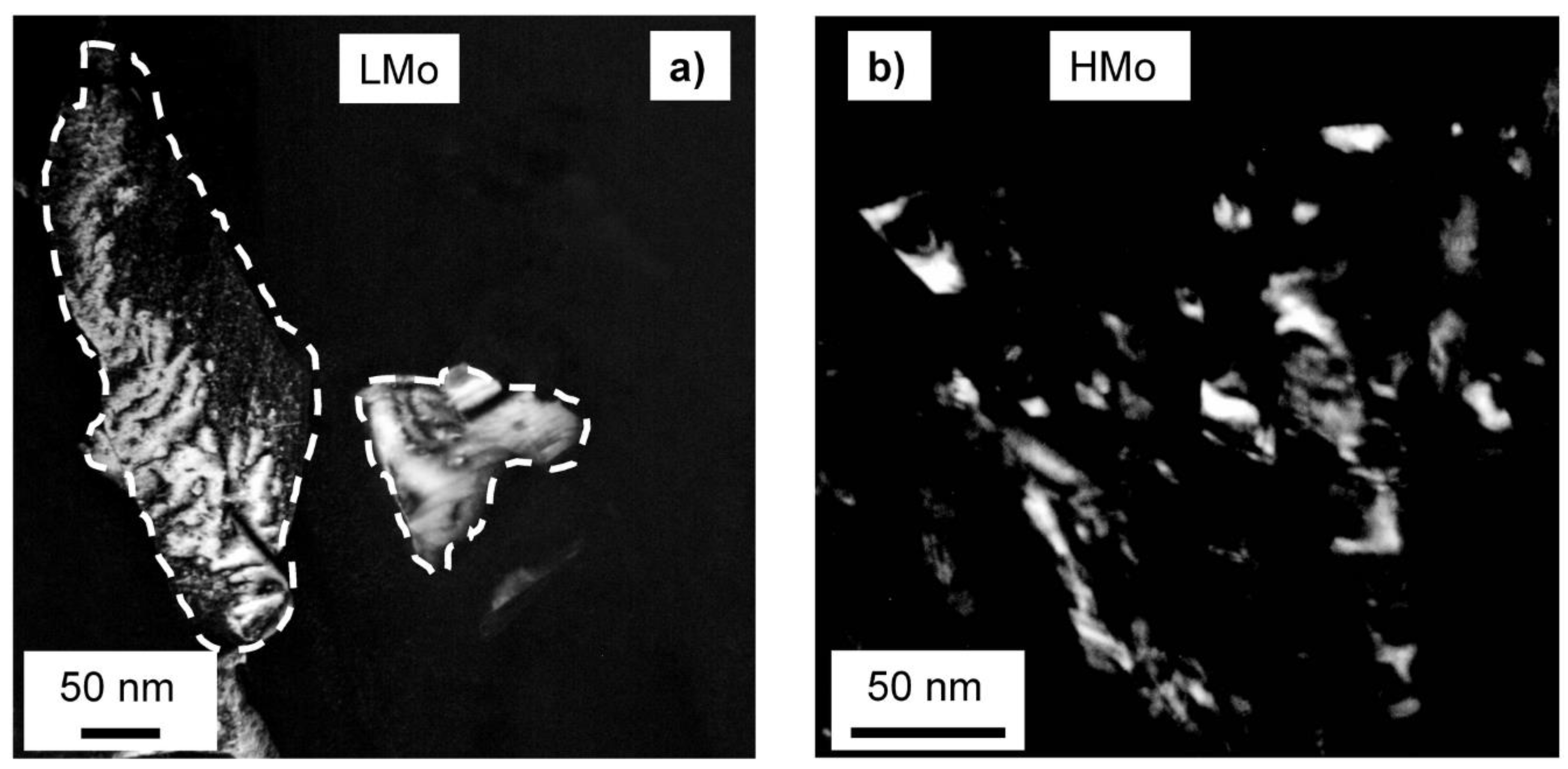 Coatings 10 00205 g001