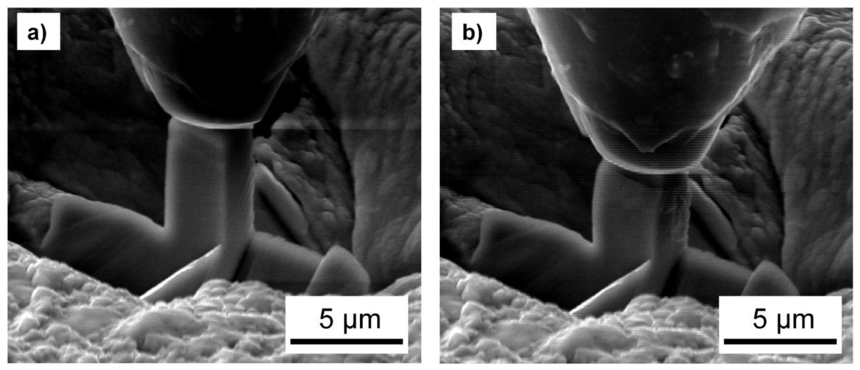 Coatings 10 00205 g004