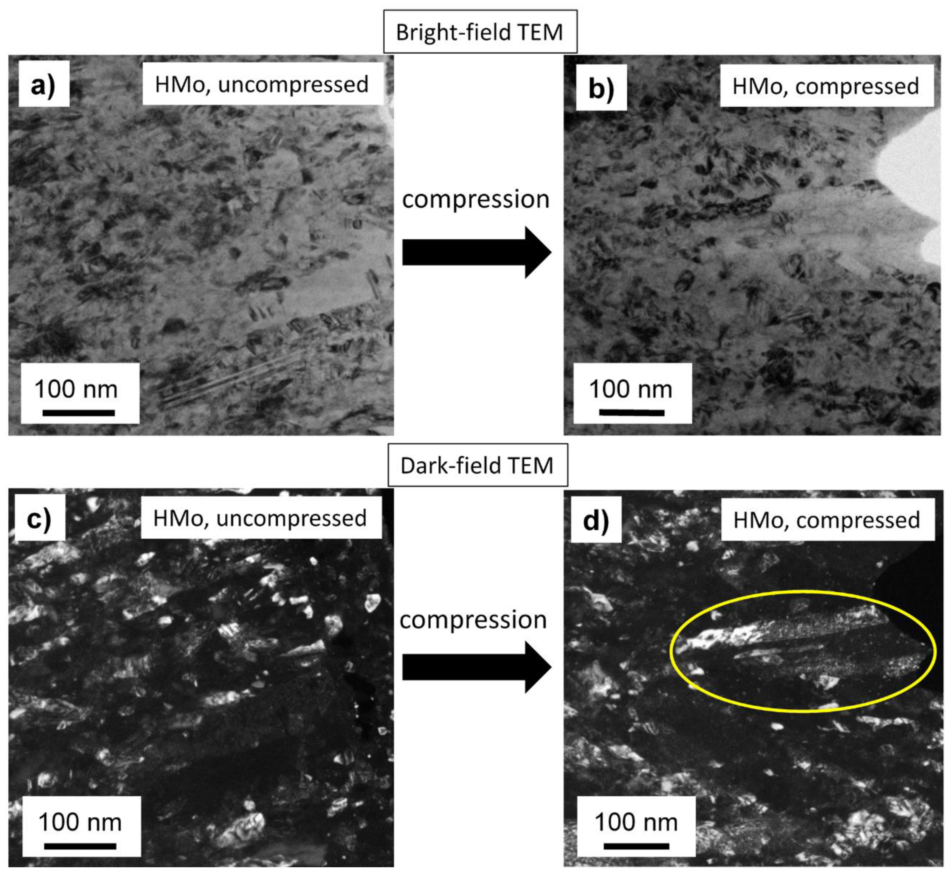 Coatings 10 00205 g006