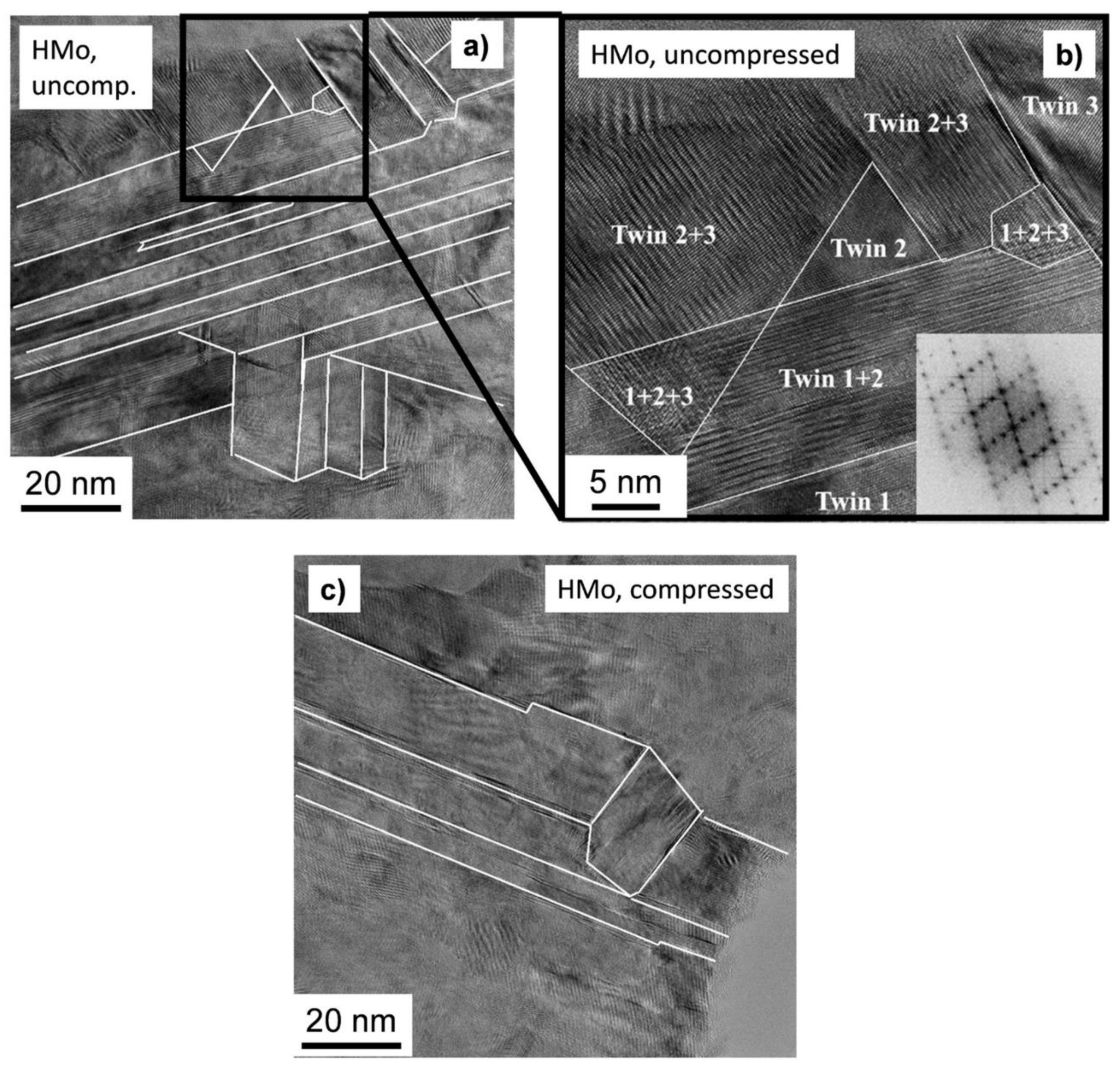 Coatings 10 00205 g007