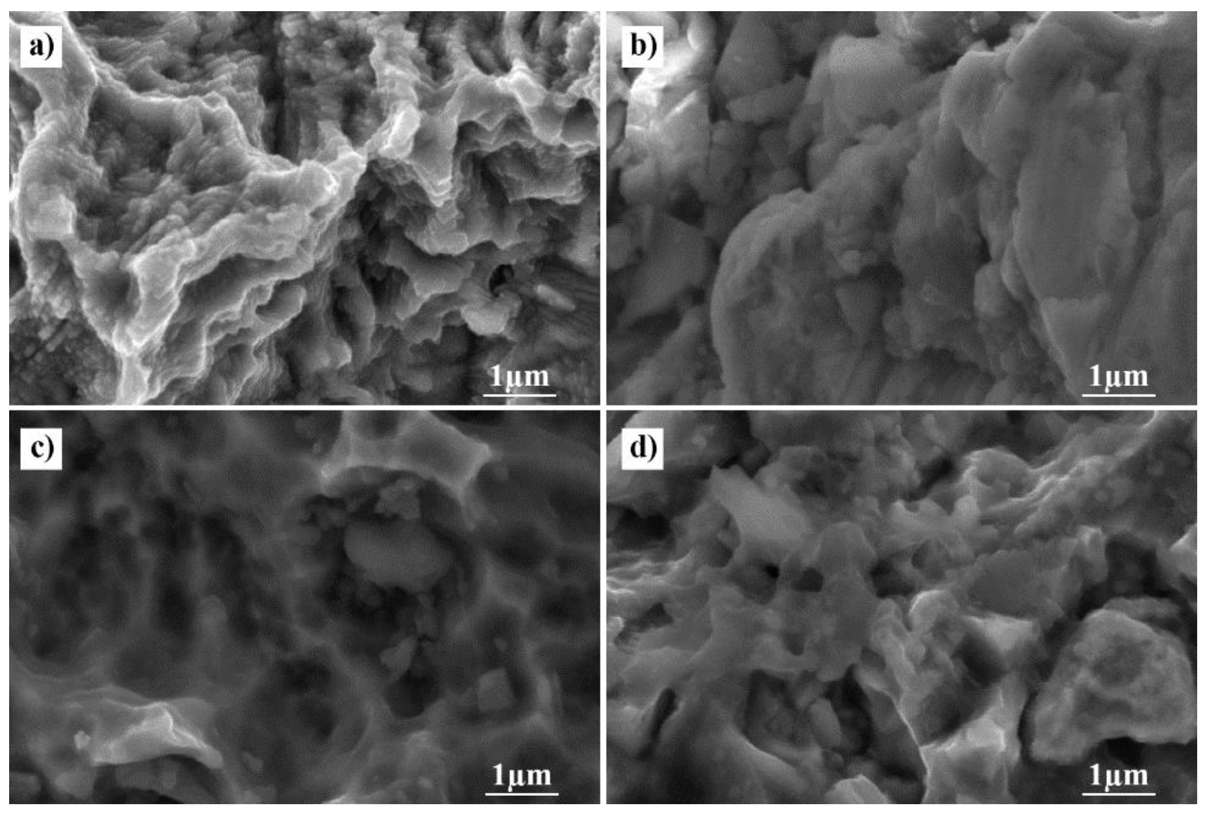 Coatings 10 00209 g012
