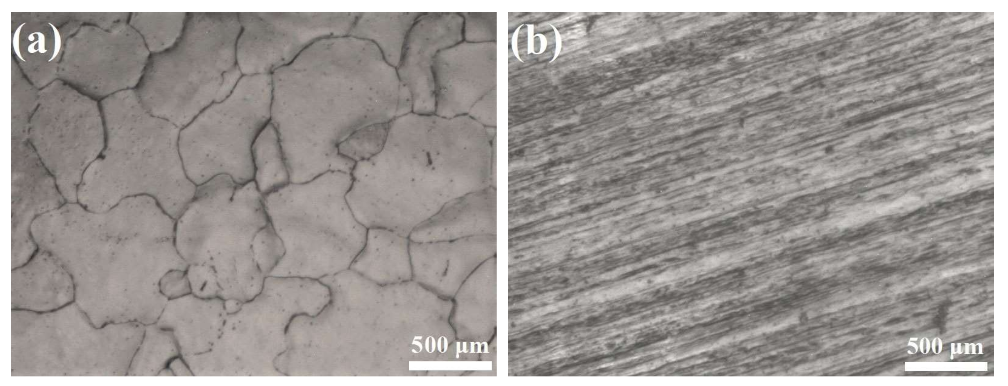 Coatings 10 00216 g002 Coatings 10 00216 g002