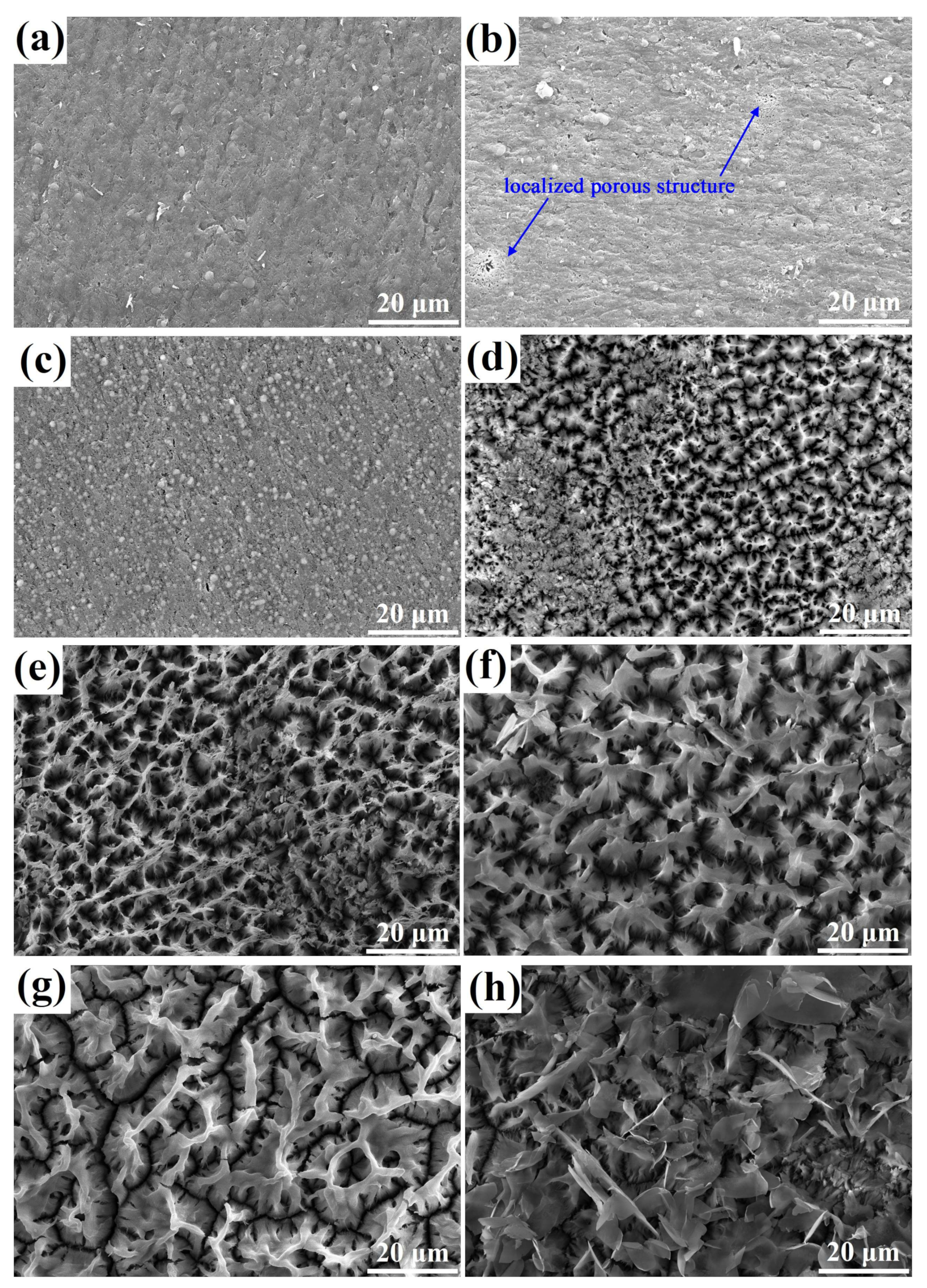 Coatings 10 00216 g003 Coatings 10 00216 g003
